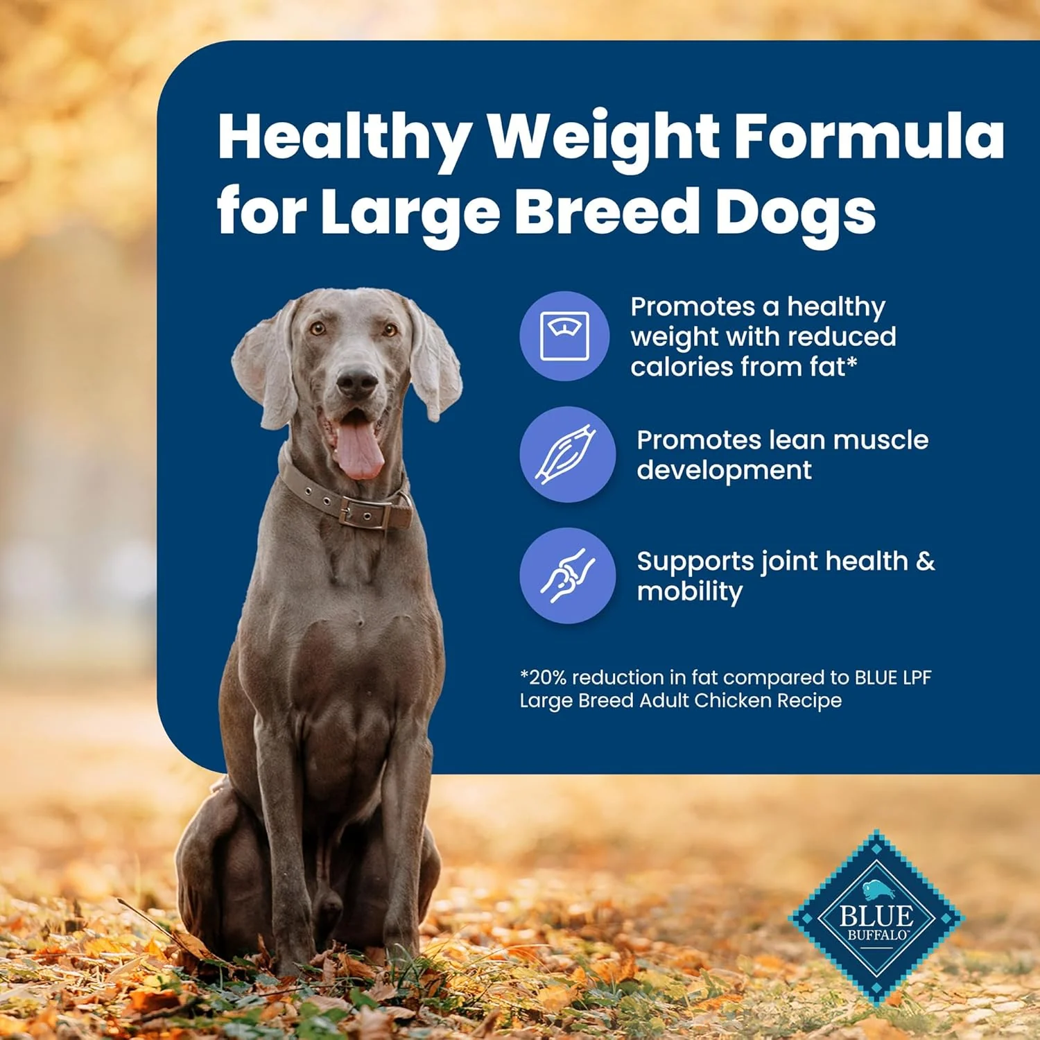 Blue Buffalo Life Protection Formula Healthy Weight Large Breed Adult Dry Dog Food for Weight Control, Made with Natural Ingredients, Chicken & Brown Rice Recipe - Image 5