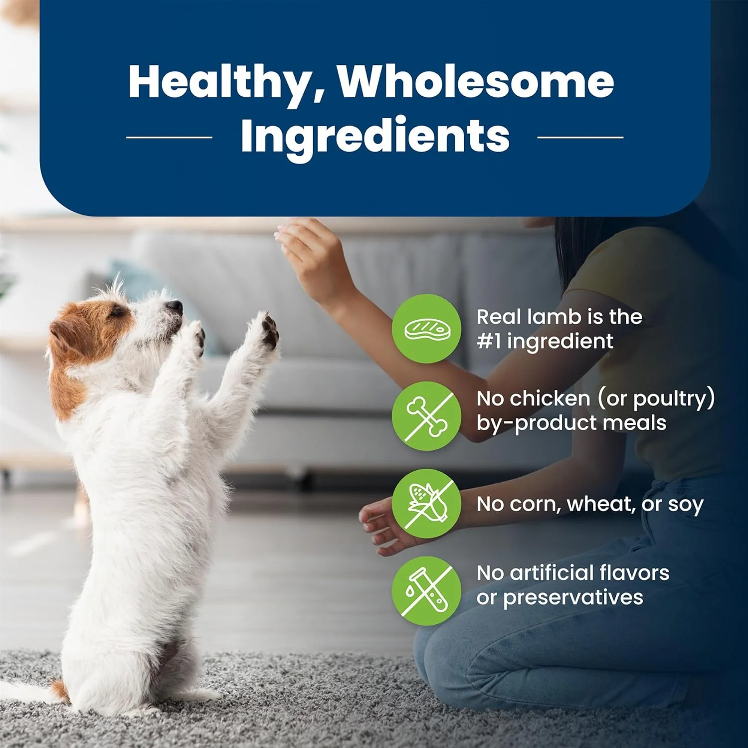 Blue Buffalo Life Protection Formula Adult Small Breed Dry Dog Food, Supports High Energy Needs, Made with Natural Ingredients, Lamb & Brown Rice Recipe - Image 6