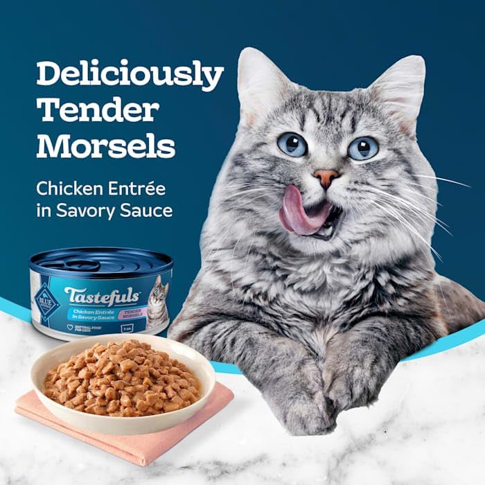 Blue Buffalo Tastefuls Chicken Morsels in Gravy Entrees Natural Wet Food for Adult Cats, 3 oz., Case of 12 - Image 3