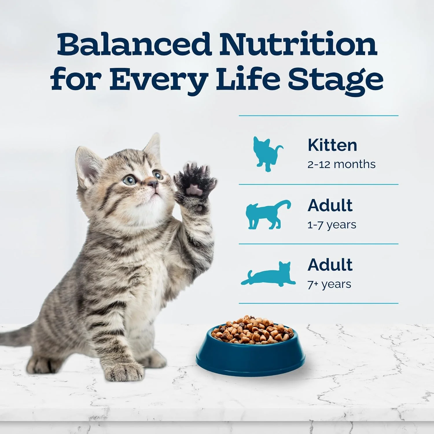 Blue Buffalo Tastefuls Kitten Food With DHA Dry Cat Food Made in the USA with Natural Ingredients, Chicken Recipe - Image 10