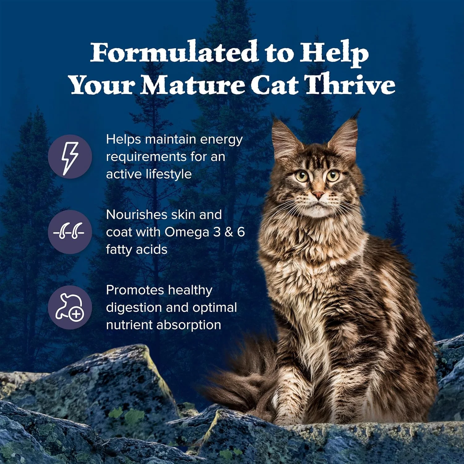 Blue Buffalo Wilderness Natural Mature Dry Cat Food for Cats 7+ Years, High-Protein and Grain-Free Diet, Supports Immune System Health and Energy to Stay Active, Chicken - Image 6