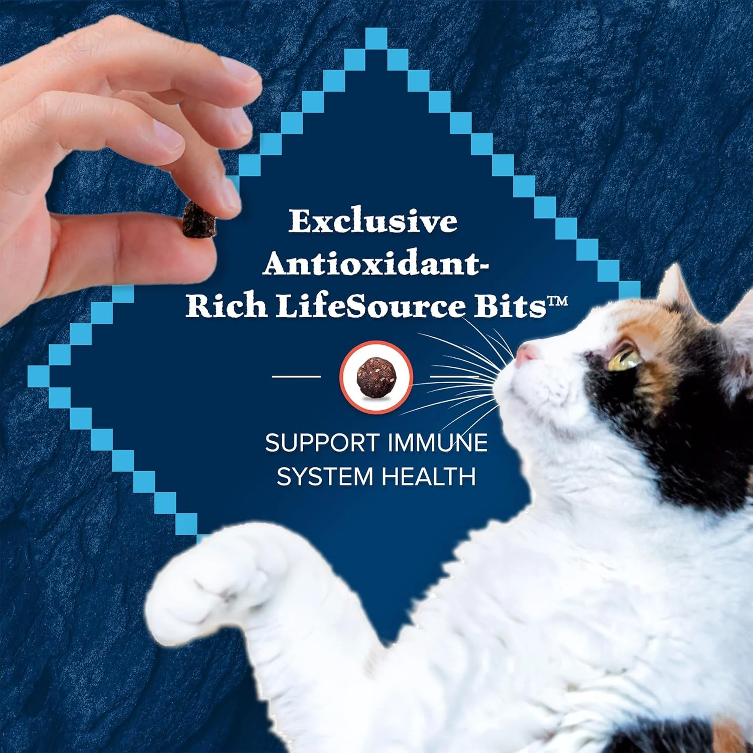 Blue Buffalo Wilderness Adult Indoor Dry Cat Food, Indoor Hairball Control and Weight Control Formula, High-Protein and Grain-Free Diet, Made with Natural Ingredients, Chicken - Image 10