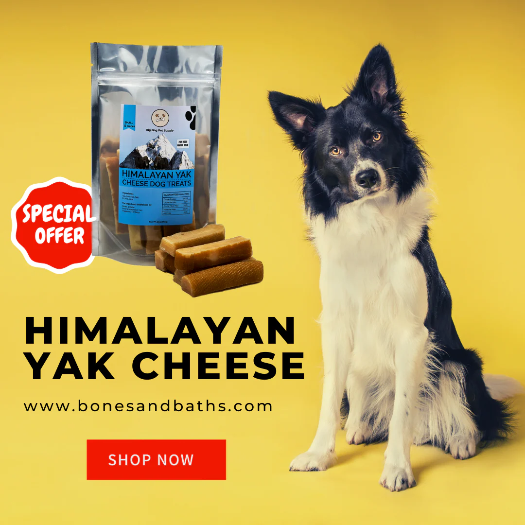 Big Dog Pet Supply Himalayan Yak Cheese Dog Treat-Small - Image 6