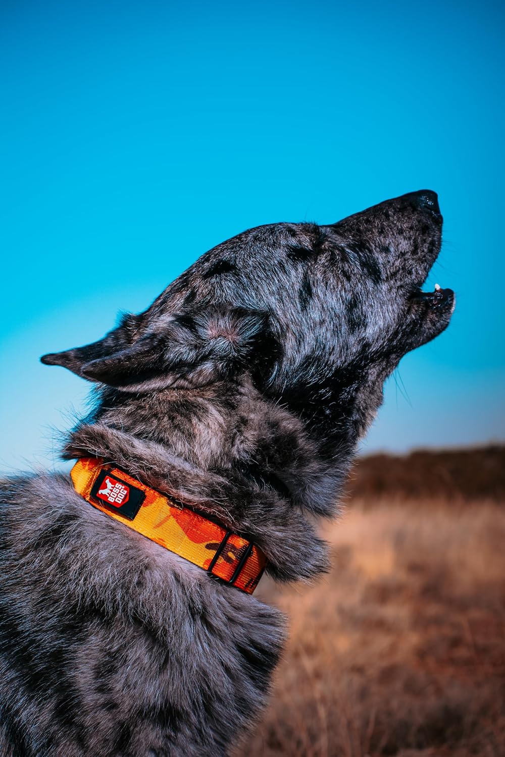 Boss Dog Tactical Adjustable Collar, Orange Camo - Image 2