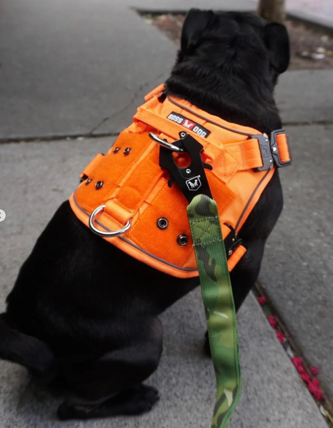 Boss Dog Tactical Harness, Green Camo - Image 3