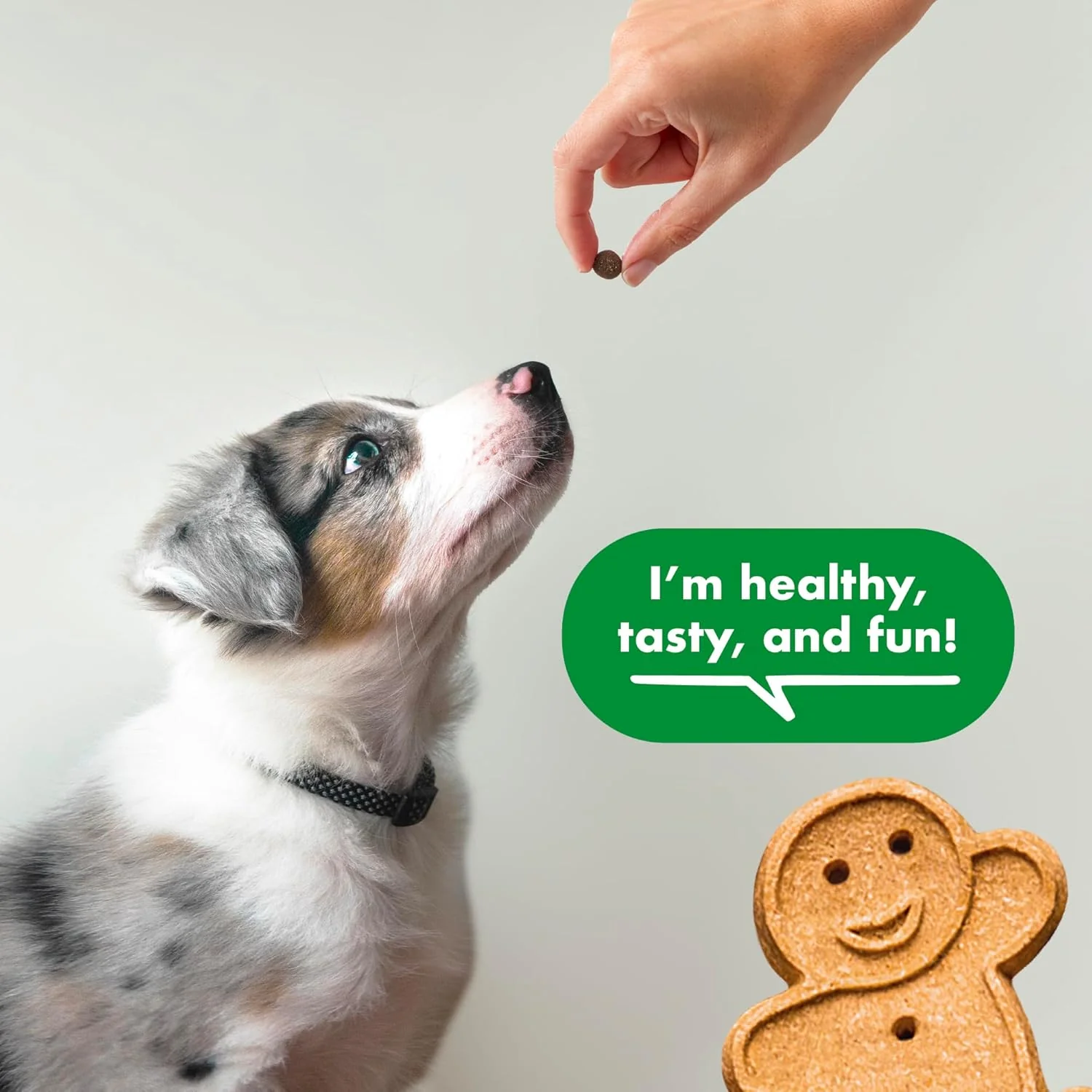 Buddy Biscuits Trainers Pouch of Training Bites Soft & Chewy Dog Treats Made with Chicken Flavor - Image 4