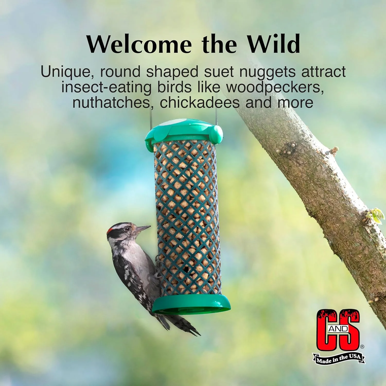 C&S Woodpecker Suet Nuggets 27 Ounces - Image 3