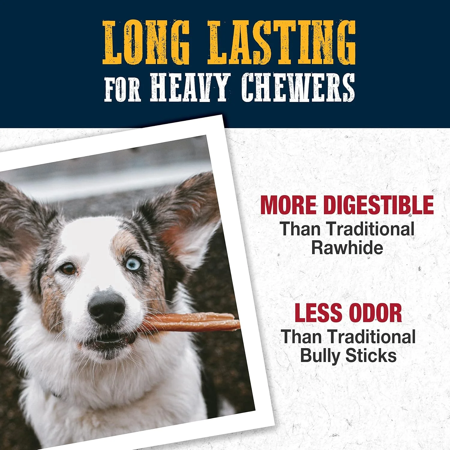 Cadet Bully Hide Sticks for Small Dogs, All-Natural Beef Pizzle, Limited-Ingredient Long-Lasting Dog Chews for Aggressive Chewers - Image 4