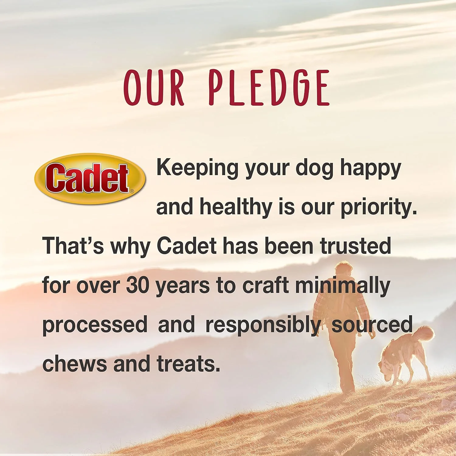 Cadet Bully Hide Sticks for Small Dogs, All-Natural Beef Pizzle, Limited-Ingredient Long-Lasting Dog Chews for Aggressive Chewers - Image 7