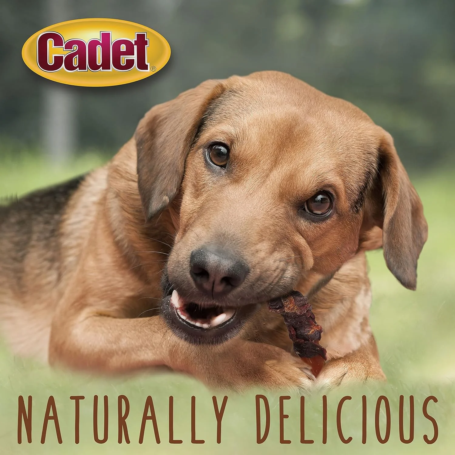 Cadet Gourmet Sweet Potato & Chicken Wraps Limited-Ingredient Dog Chews, Healthy and Natural Training Treats for Small and Large Dogs - Image 5