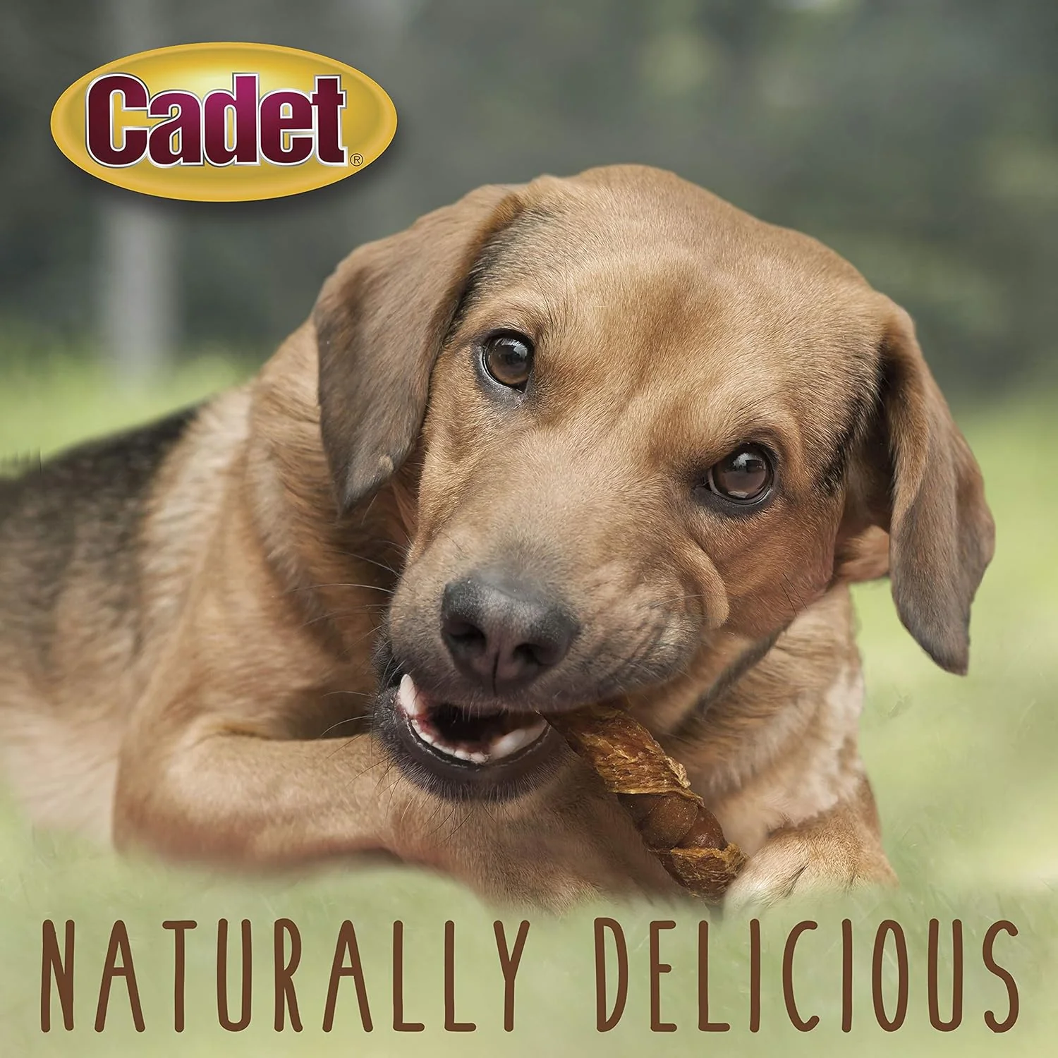 Cadet Gourmet Triple Chews Long-Lasting Pork Hide Sticks with Sweet Potato and Chicken, Healthy Dog Treats for Small & Large Dogs - Image 5