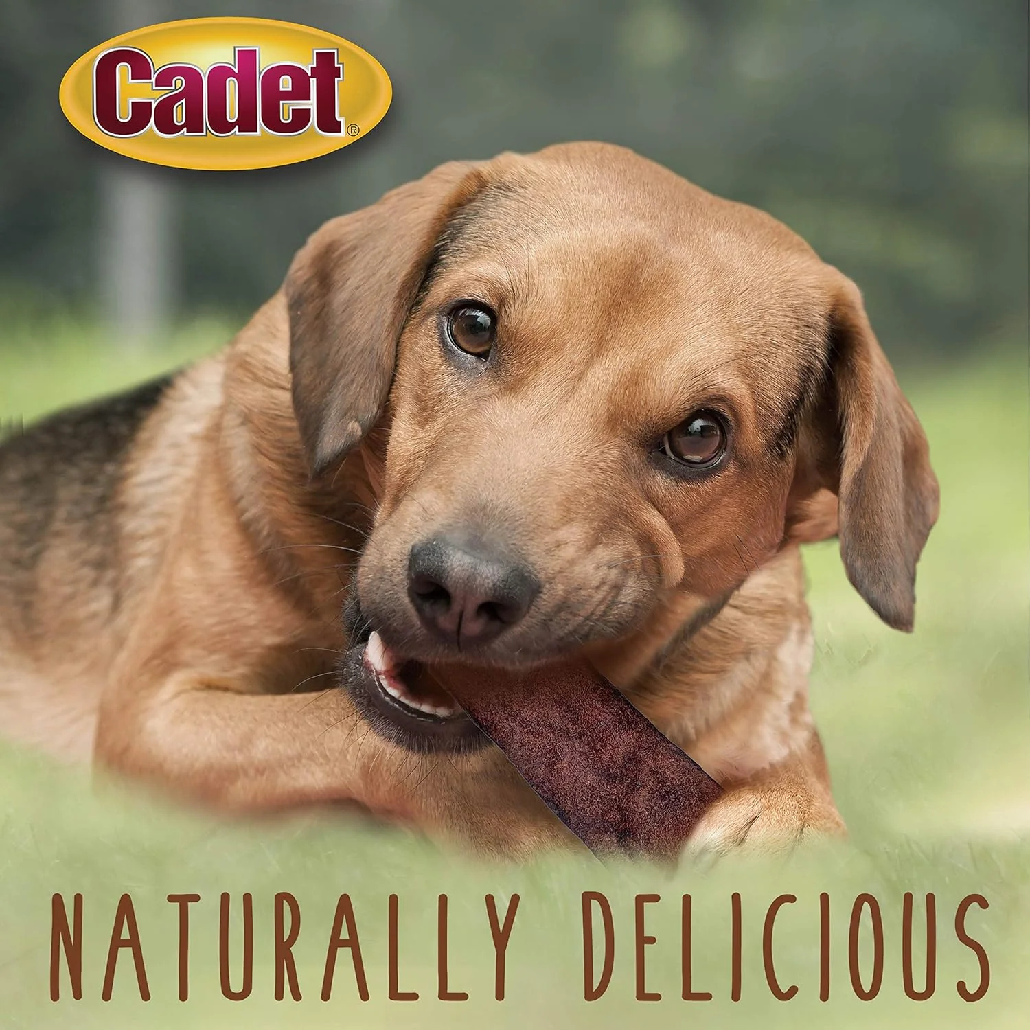 Cadet Premium Grade Beef Hide Chips for Dogs Beef Flavor - Image 4