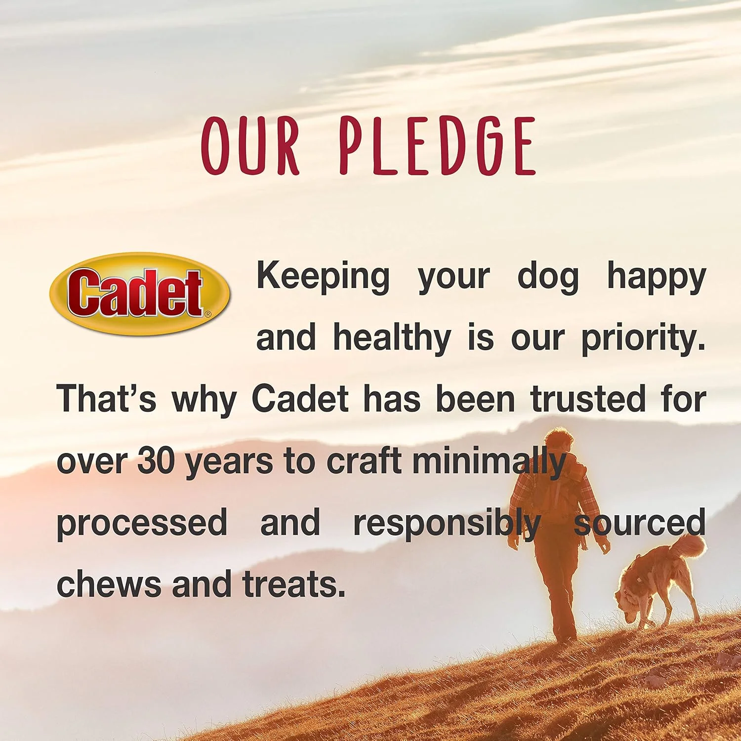 Cadet Premium Grade Beef Hide for Dogs, Rawhide Long Lasting Dog Chews, Chips, Curls & Rolls for Small/Medium/Large Dogs - Image 6