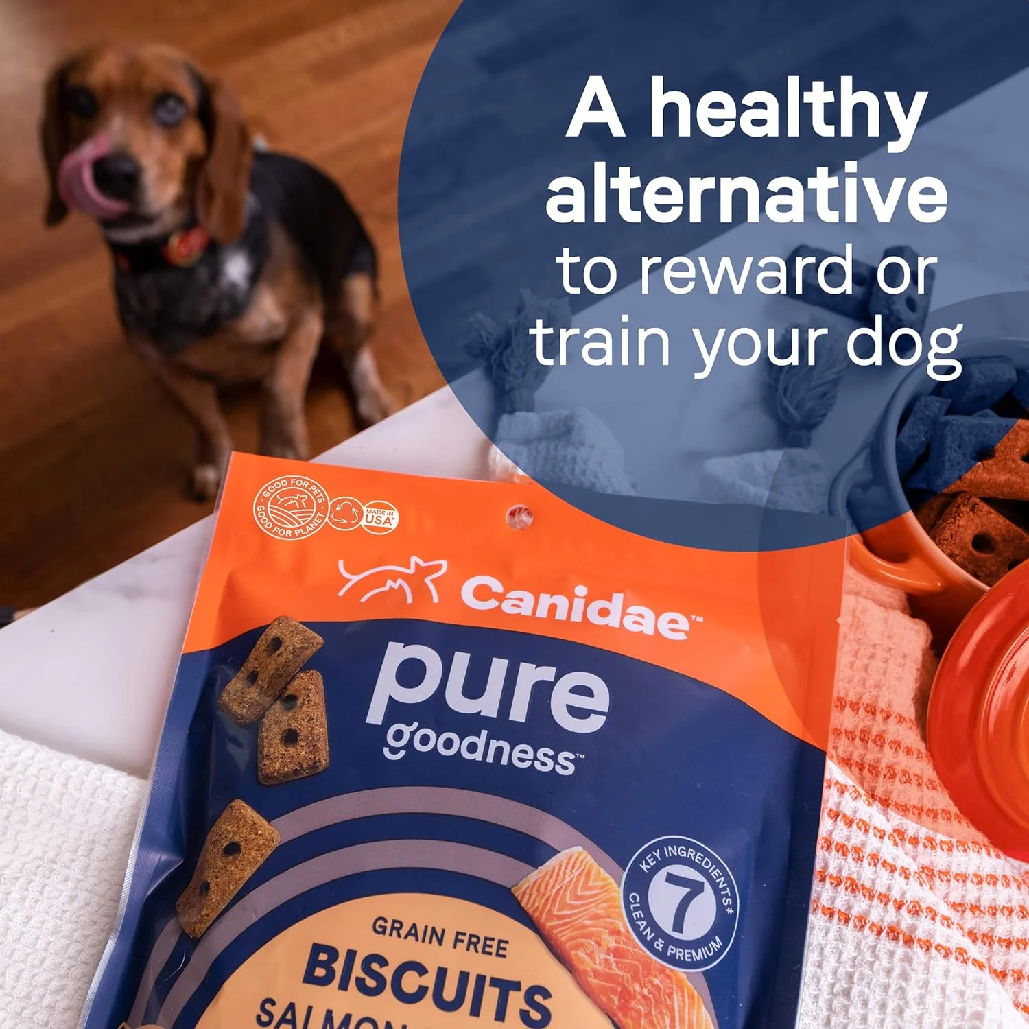 CANIDAE® PURE Heaven Biscuits with Salmon & Sweet Potato Dog Treats 11 oz. - Image 4