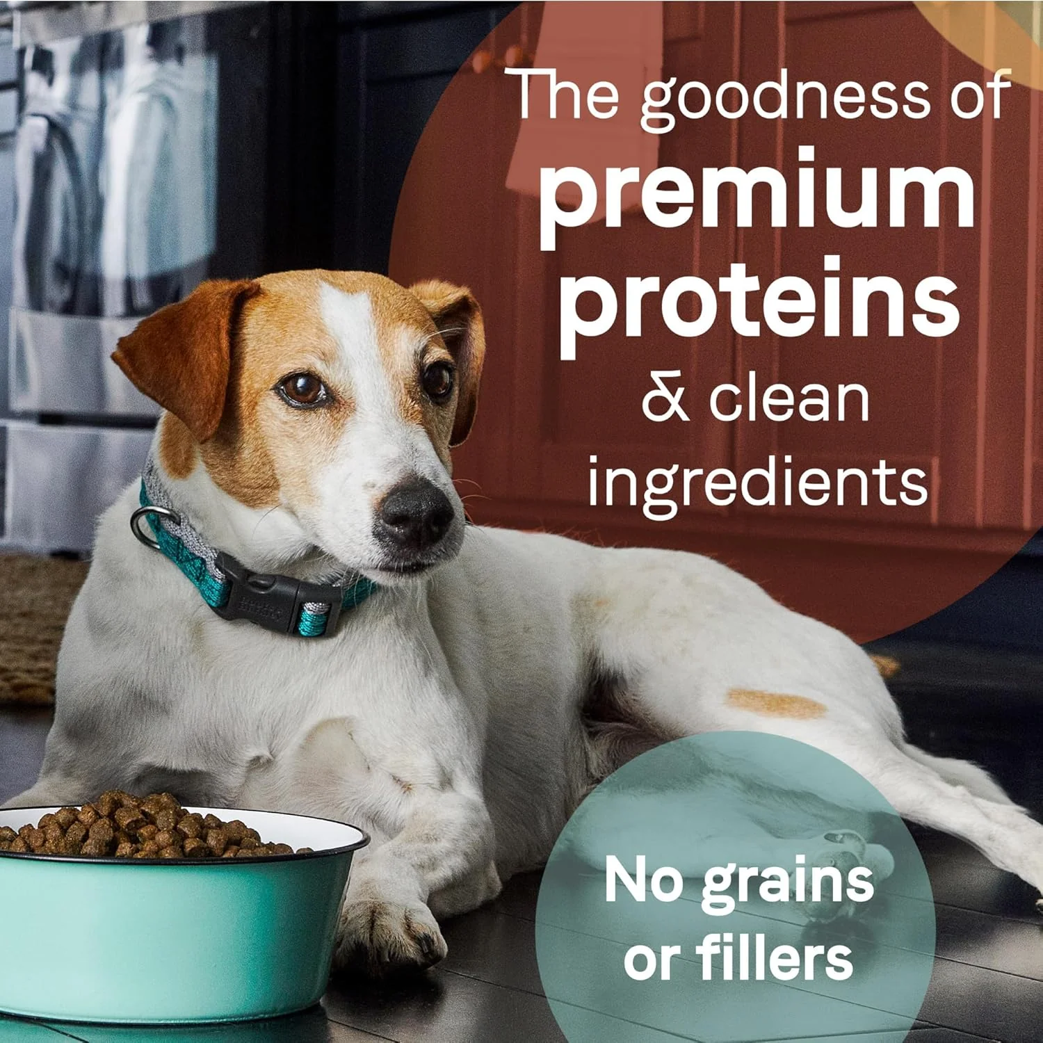 Canidae PURE Healthy Weight Limited Ingredient Premium Adult Dry Dog Food, Chicken and Pea Recipe - Image 6