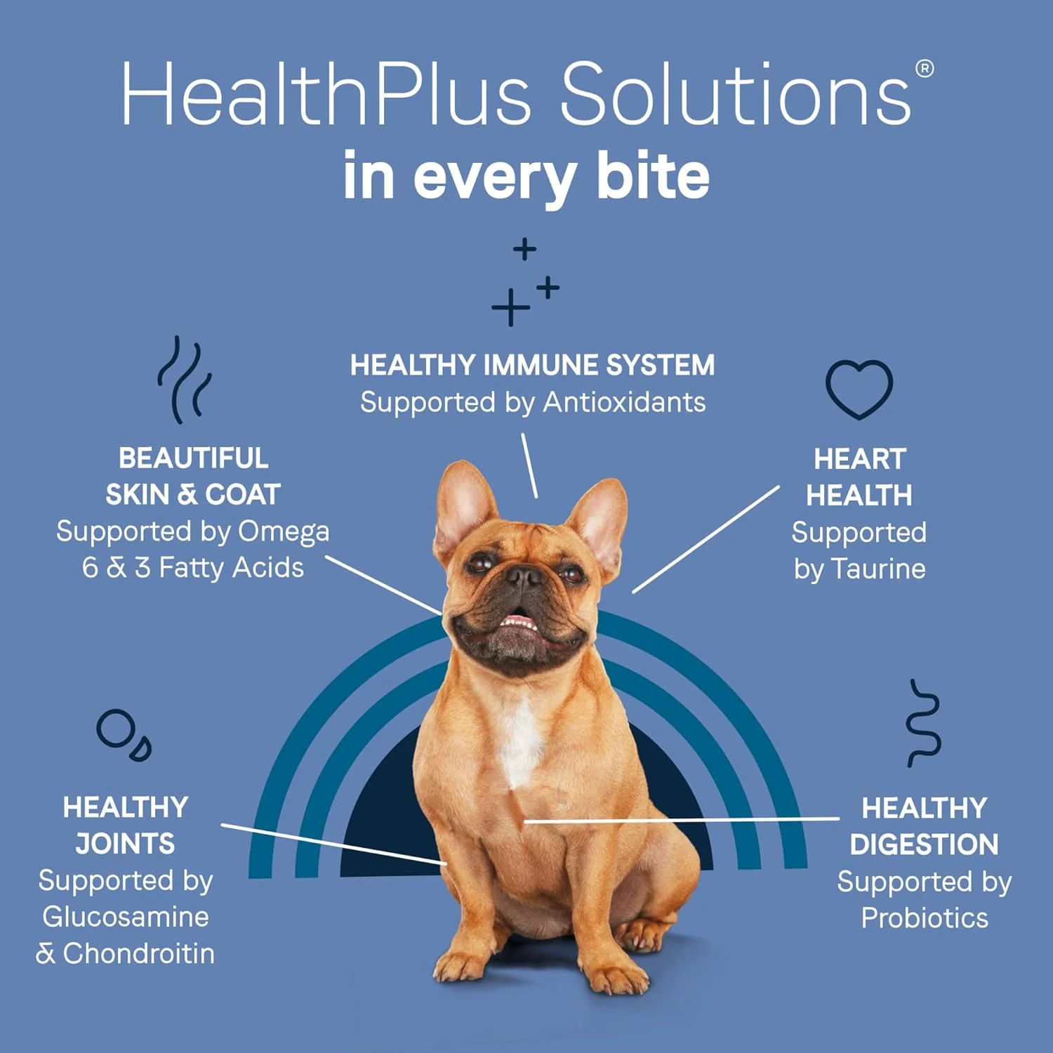 CANIDAE PURE Petite Freeze-Dried raw coated Recipe with Real Chicken Dog Dry - Image 6