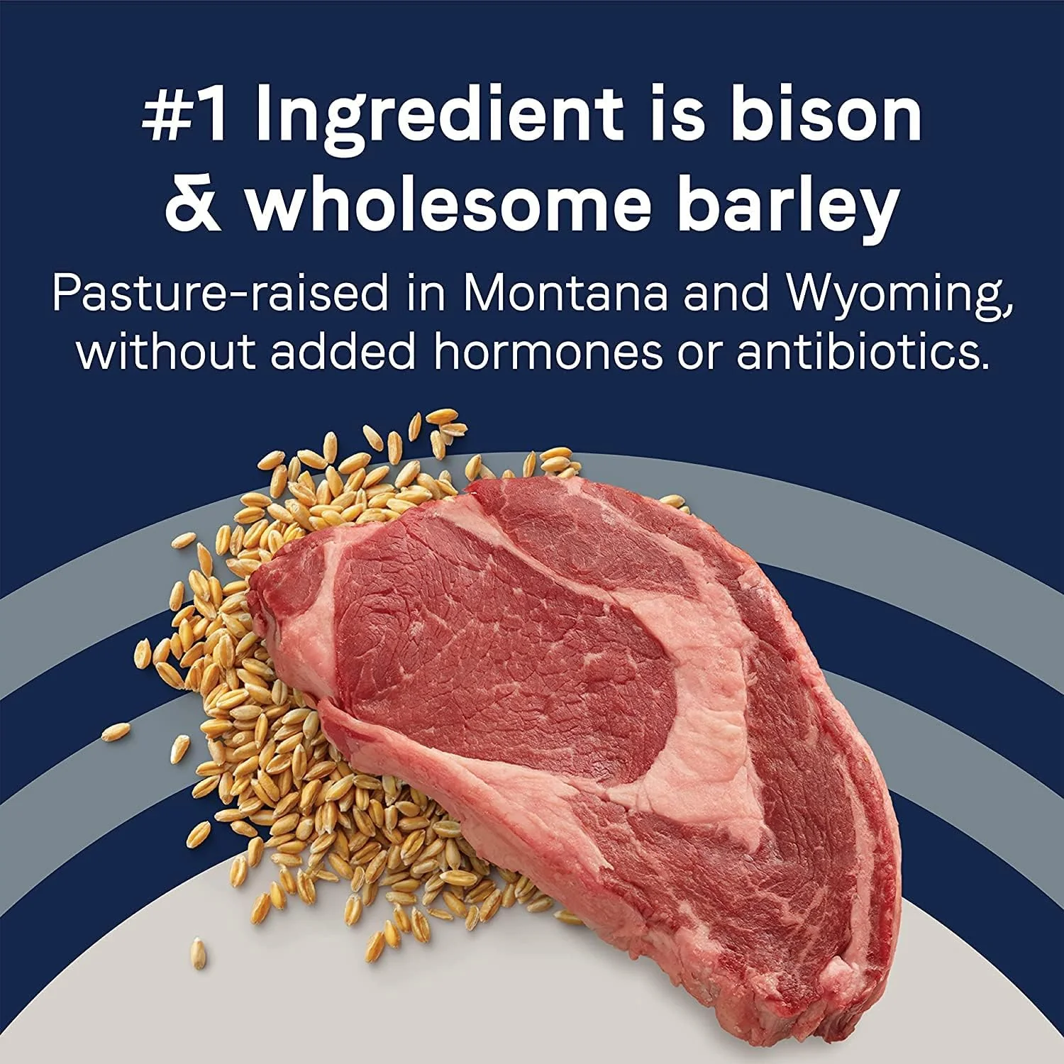 CANIDAE? Pure Real Bison & Barley Recipe Dog Dry - Image 4