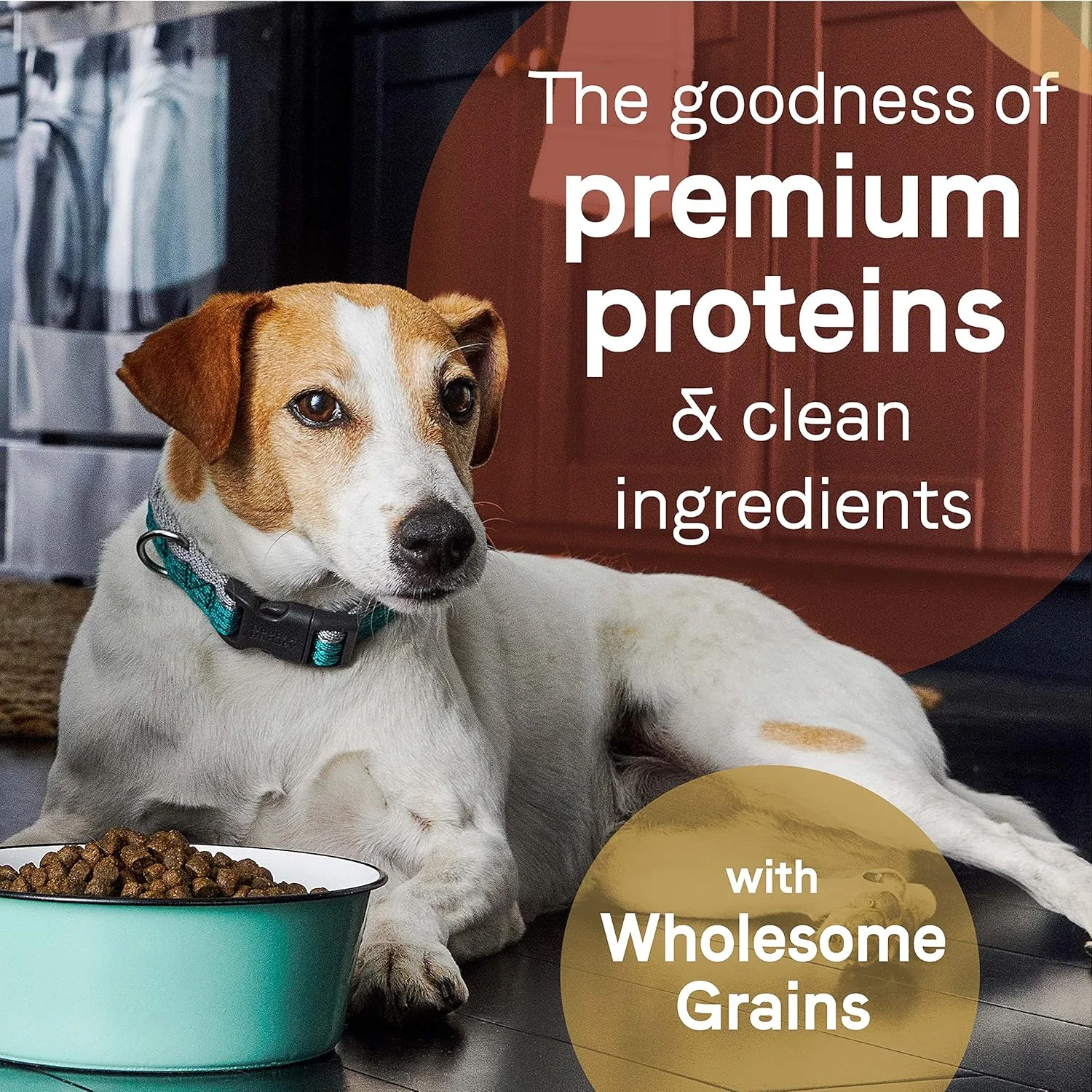 CANIDAE Pure Real Lamb & Brown Rice Recipe Dog Dry - Image 4