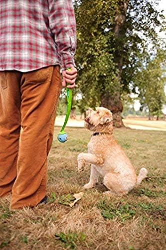 Chuckit Gen 1 Fetch Pack Dog Balls - Interactive Dog Toys, High-Bounce Fetch Ball, Floating Ultra and Rugged Balls, Durable - , 2.5-inch Diameter, Set of 3 - Image 7