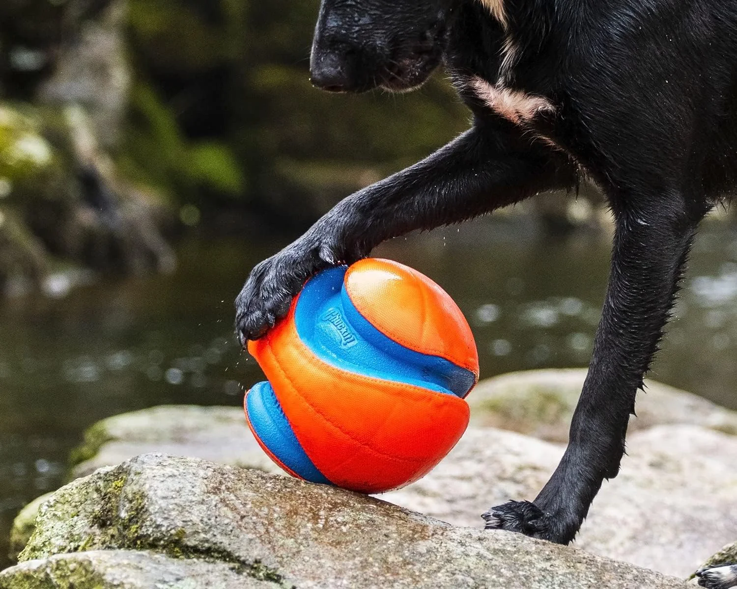 Chuckit! Kick Fetch Ball Large - Image 9