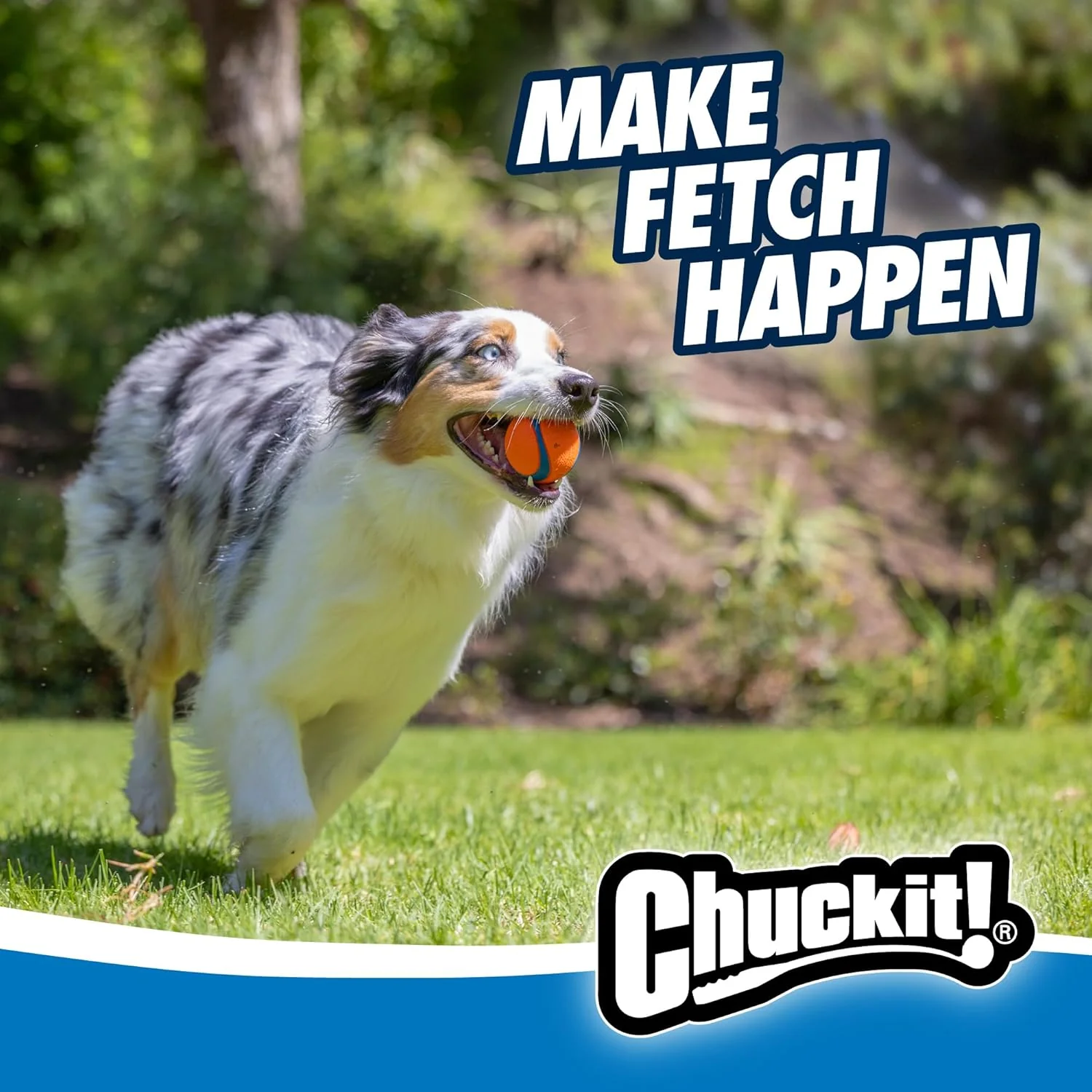 Chuckit Gen 1 Fetch Pack Dog Balls - Interactive Dog Toys, High-Bounce Fetch Ball, Floating Ultra and Rugged Balls, Durable - Image 5