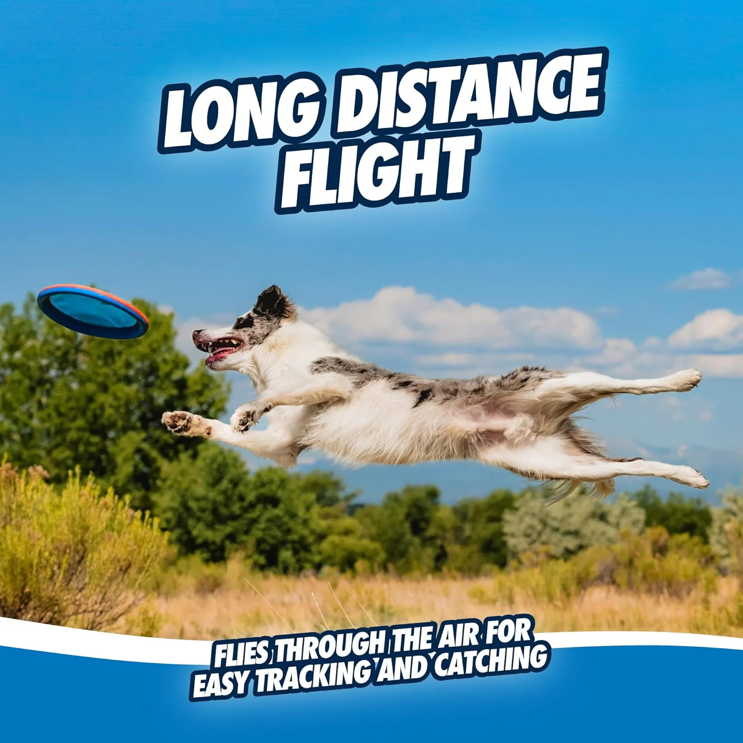 Chuckit! Paraflight Flying Disc Dog Toy - Water Floating Flyer - Durable Nylon Construction with Soft Rubber Edges - For Medium and Large Dogs - Image 6