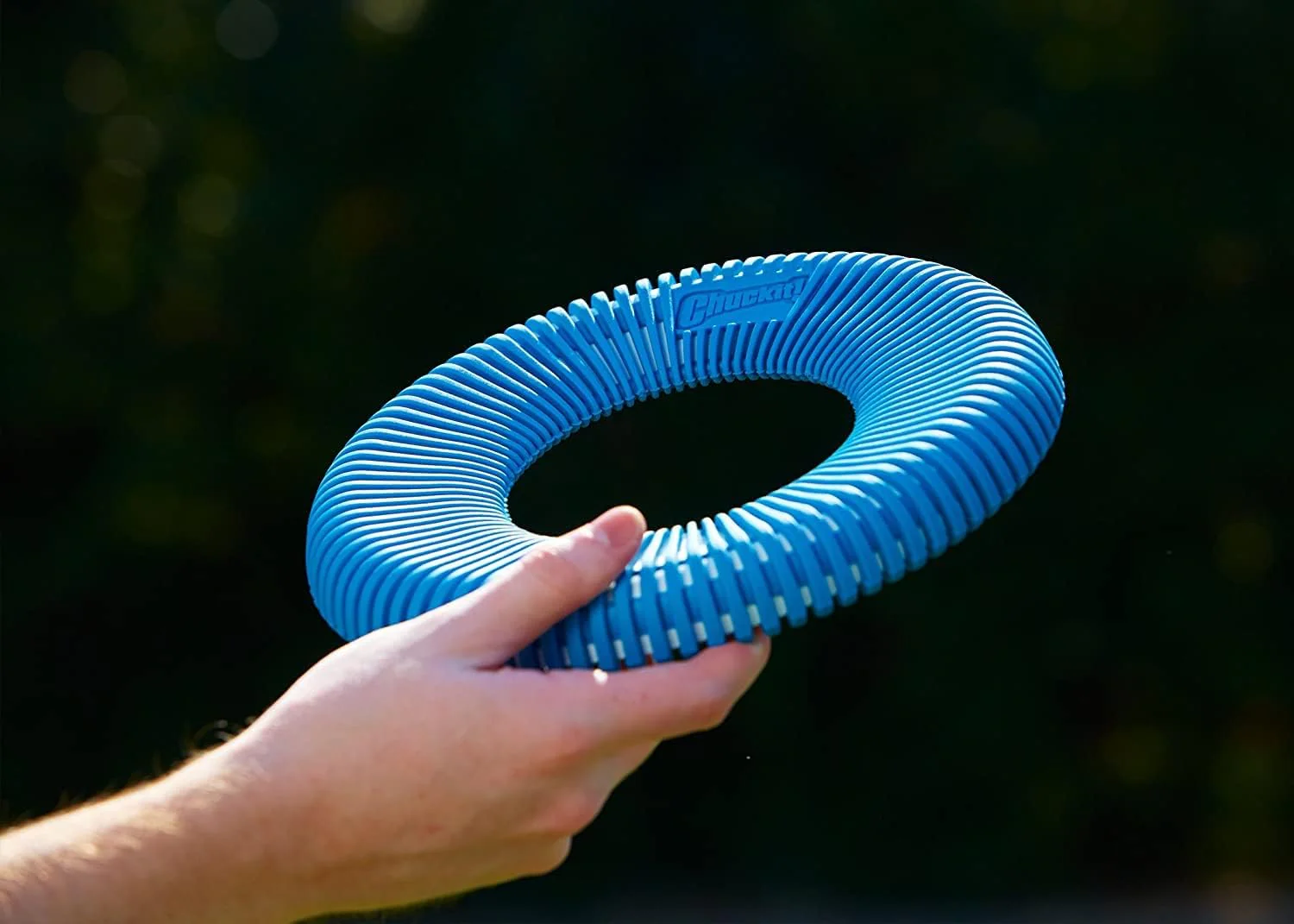Chuckit! Rugged Flyer Dog Toy,  Assorted Colors - Image 8