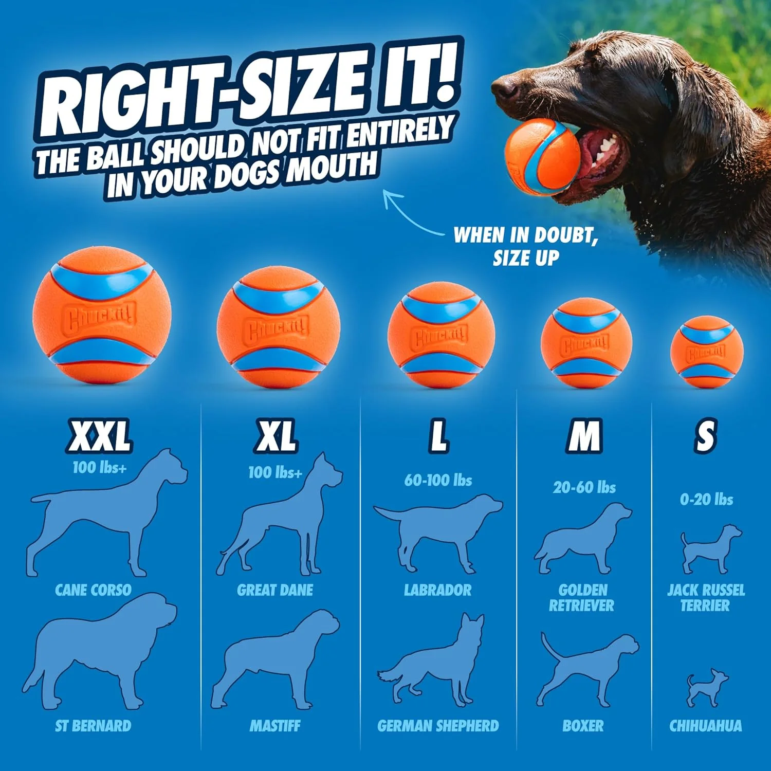 Chuckit! Ultra Ball Dog Toy - For Dogs 100+ lbs - Made from Durable Rubber - Super Bouncy - Floats in Water - Image 6