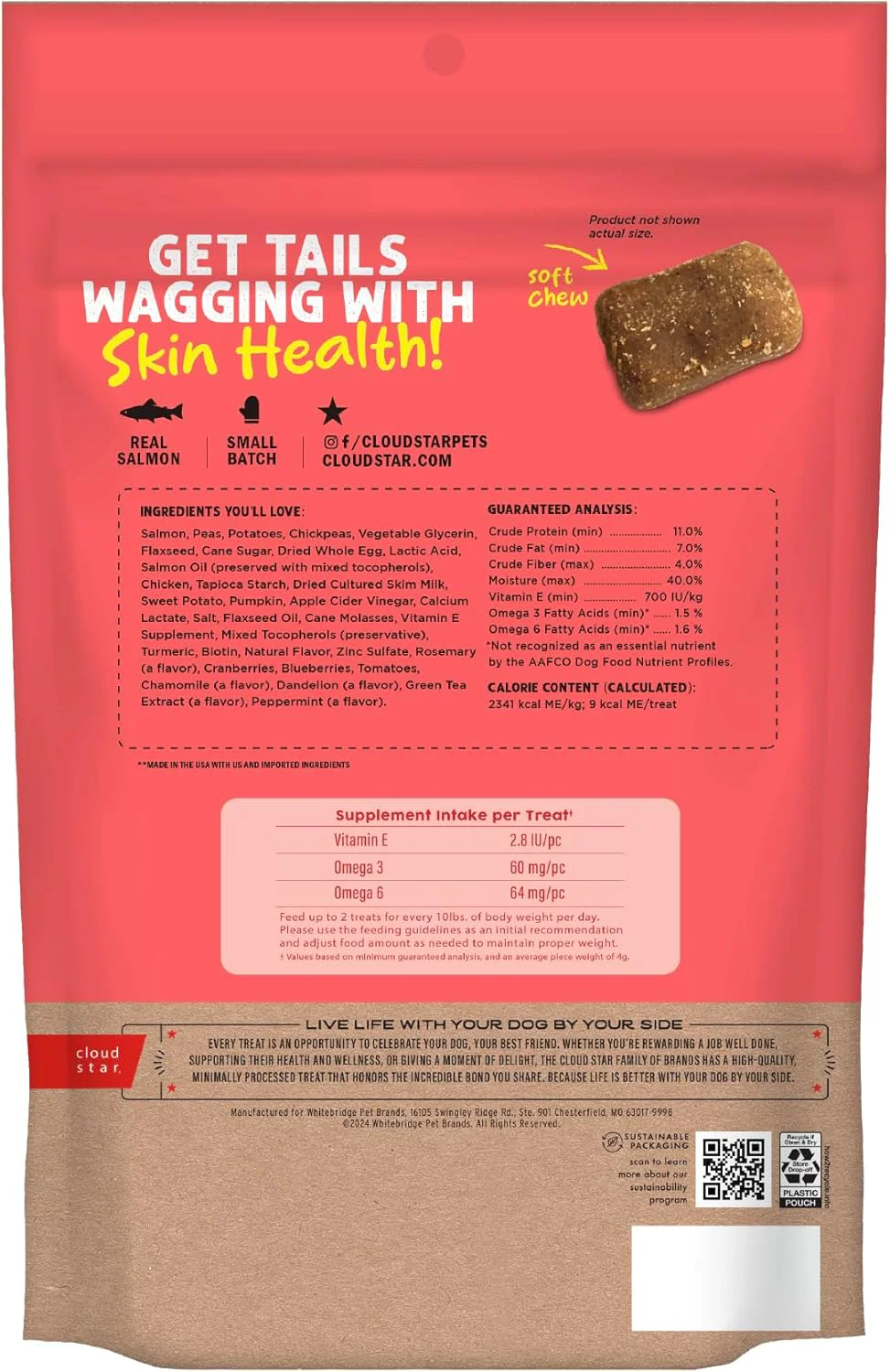 Cloud Star Dynamo Dog Skin & Coat Soft Chews Grain Free Dog Treats, Salmon - Image 3