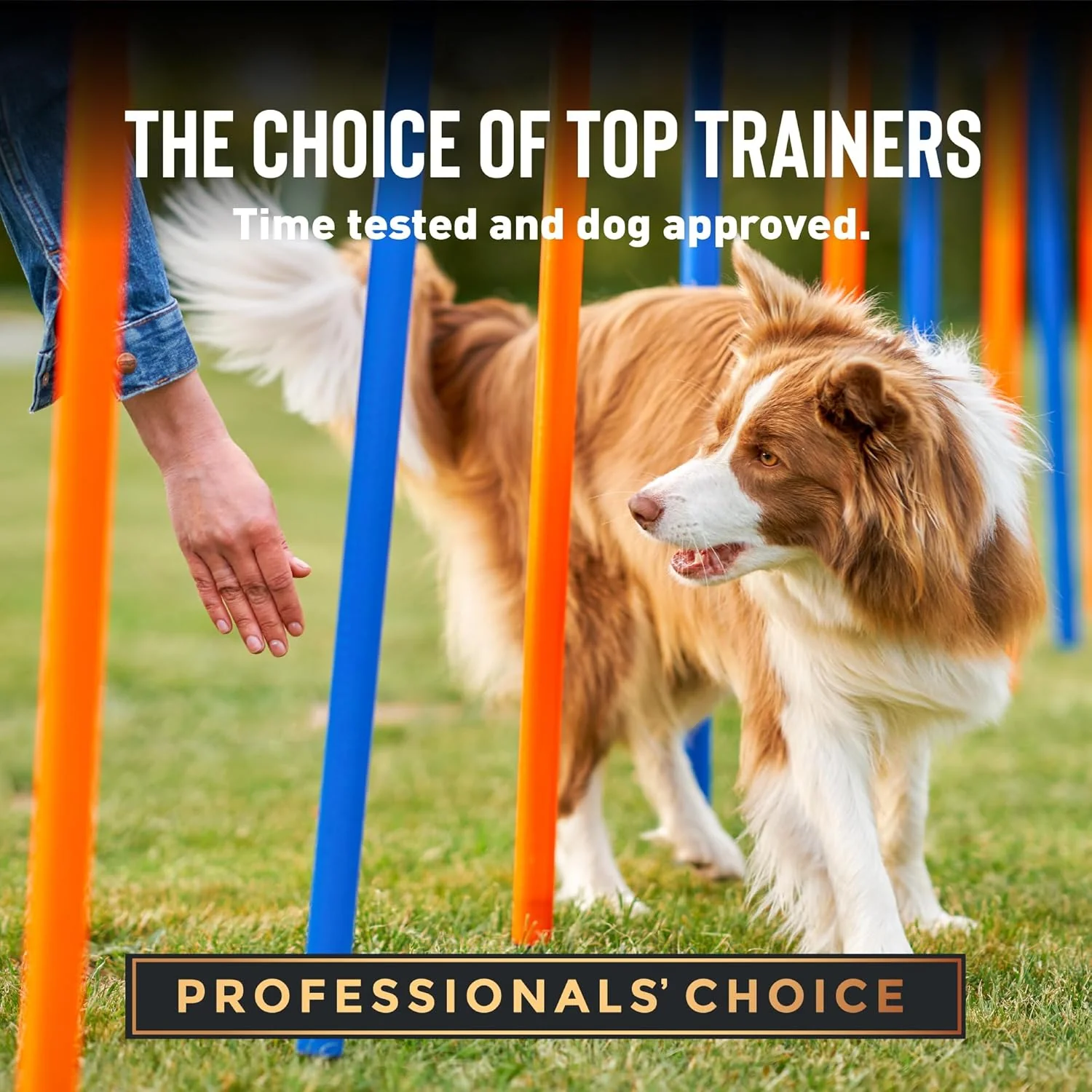 Cloud Star Tricky Trainers Crunchy Dog Training Treats , Chicken Liver Flavor, Low Calorie Behavior Aid with 450 treats - Image 5