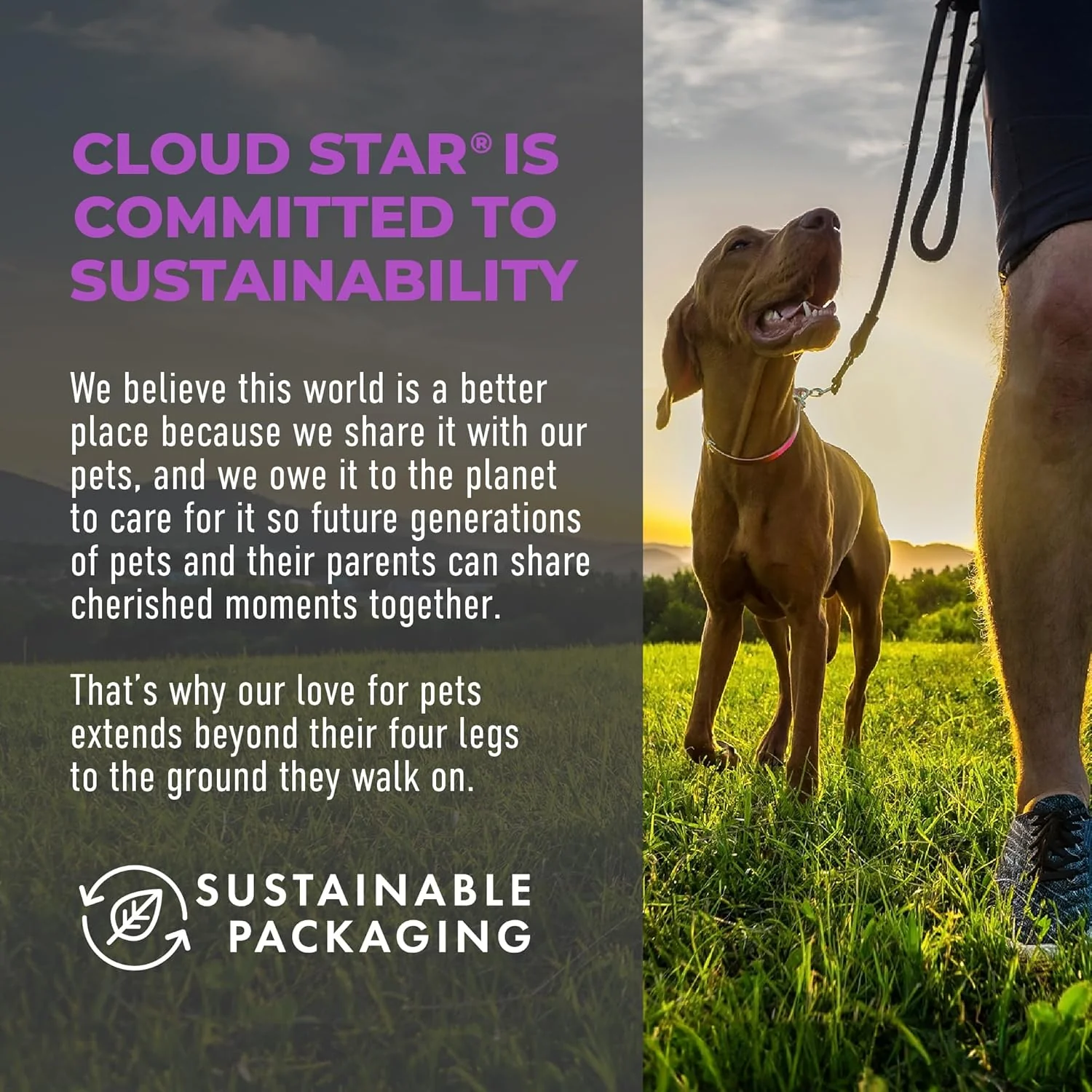 Cloud Star Tricky Trainers Crunchy Dog Training Treats , Chicken Liver Flavor, Low Calorie Behavior Aid with 450 treats - Image 6