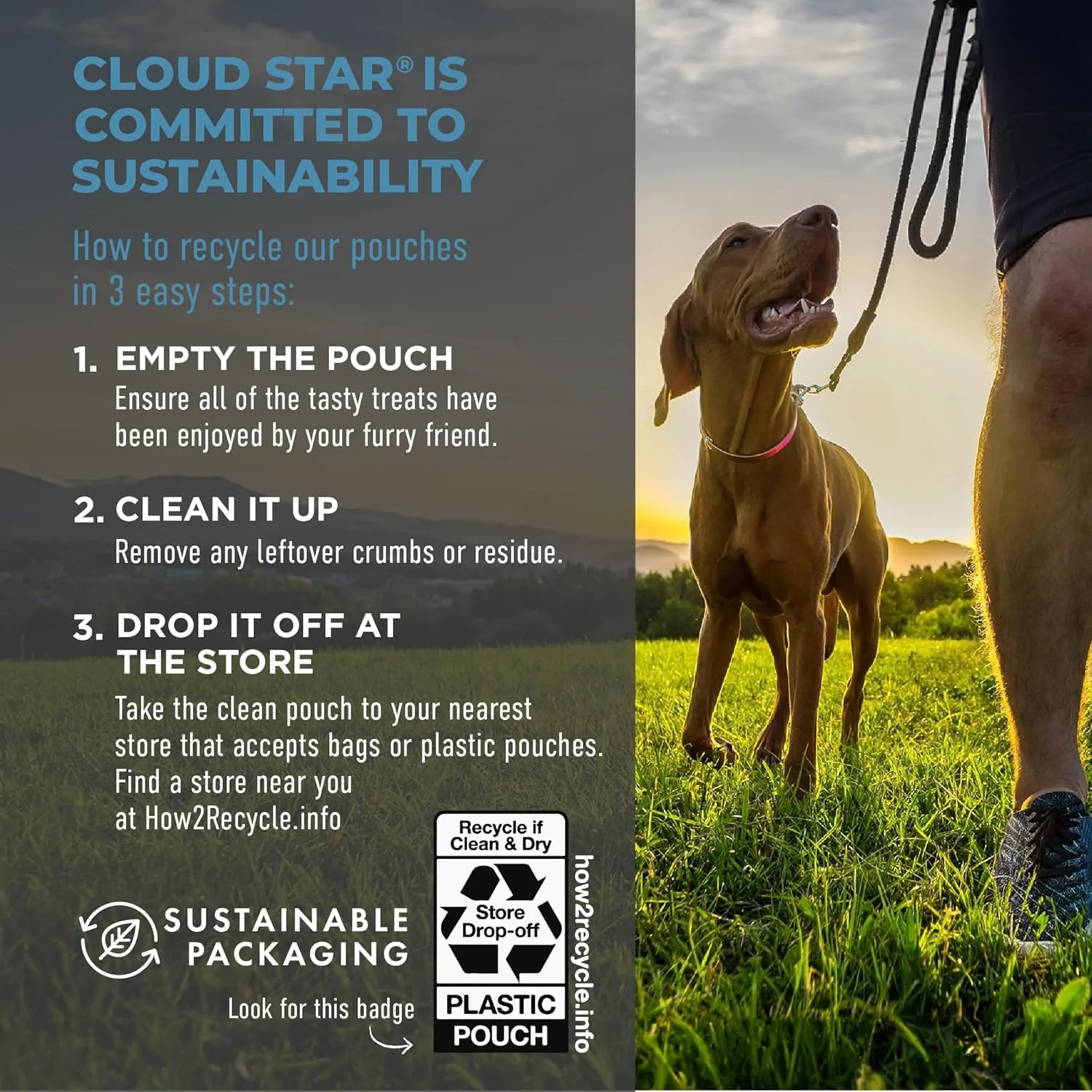 Cloud Star Tricky Trainers Soft & Chewy Dog Training Treats Pouch, Salmon Flavor, Low Calorie Behavior Aid with 360 Treats - Image 6
