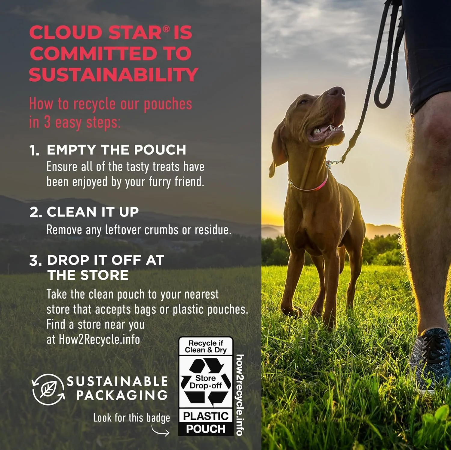 Cloud Star Wag More Bark Less Grain Free Meatballs Dog Treats with Beef - Image 5