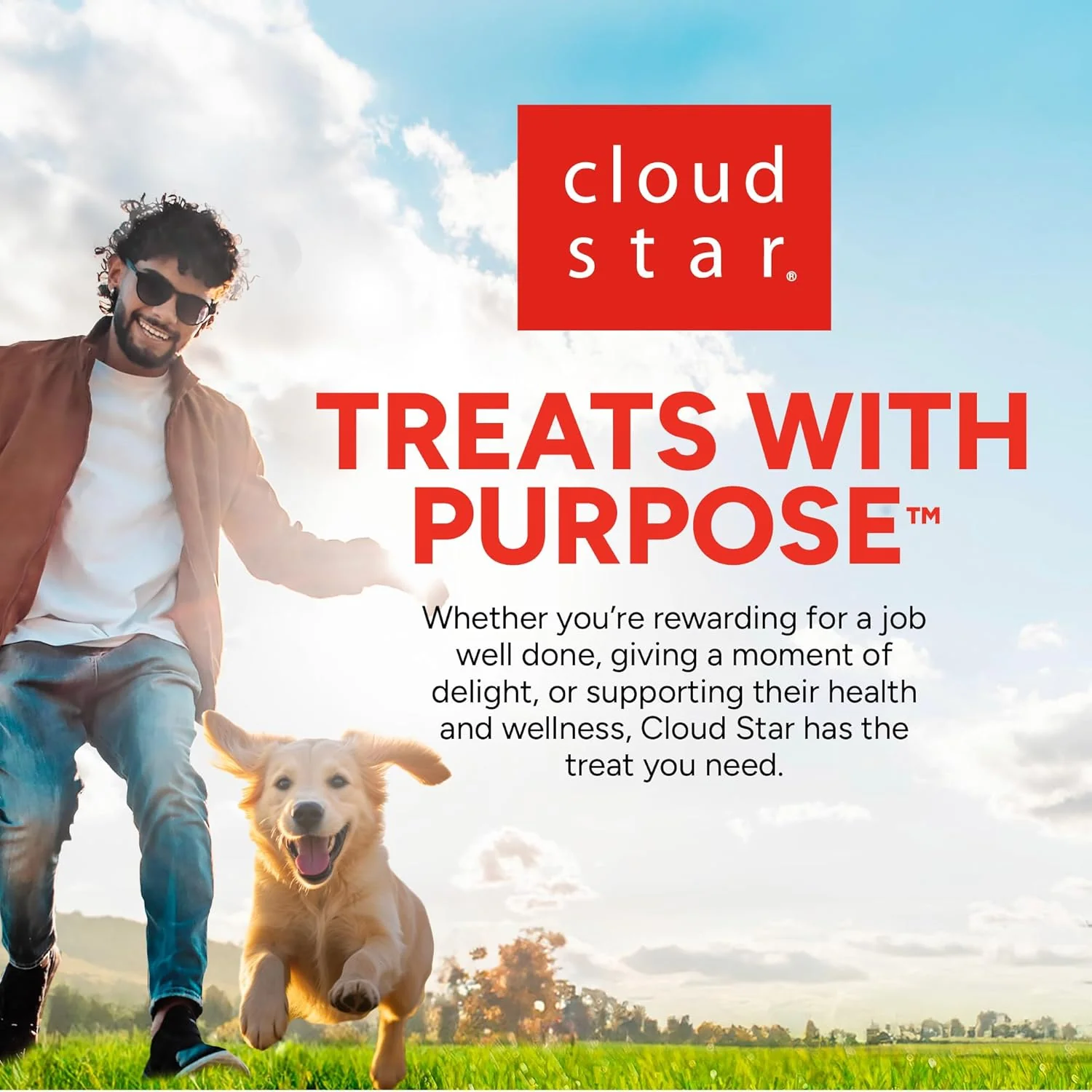 Cloud Star Wag More Bark Less Grain Free Meatballs Dog Treats with Beef - Image 9