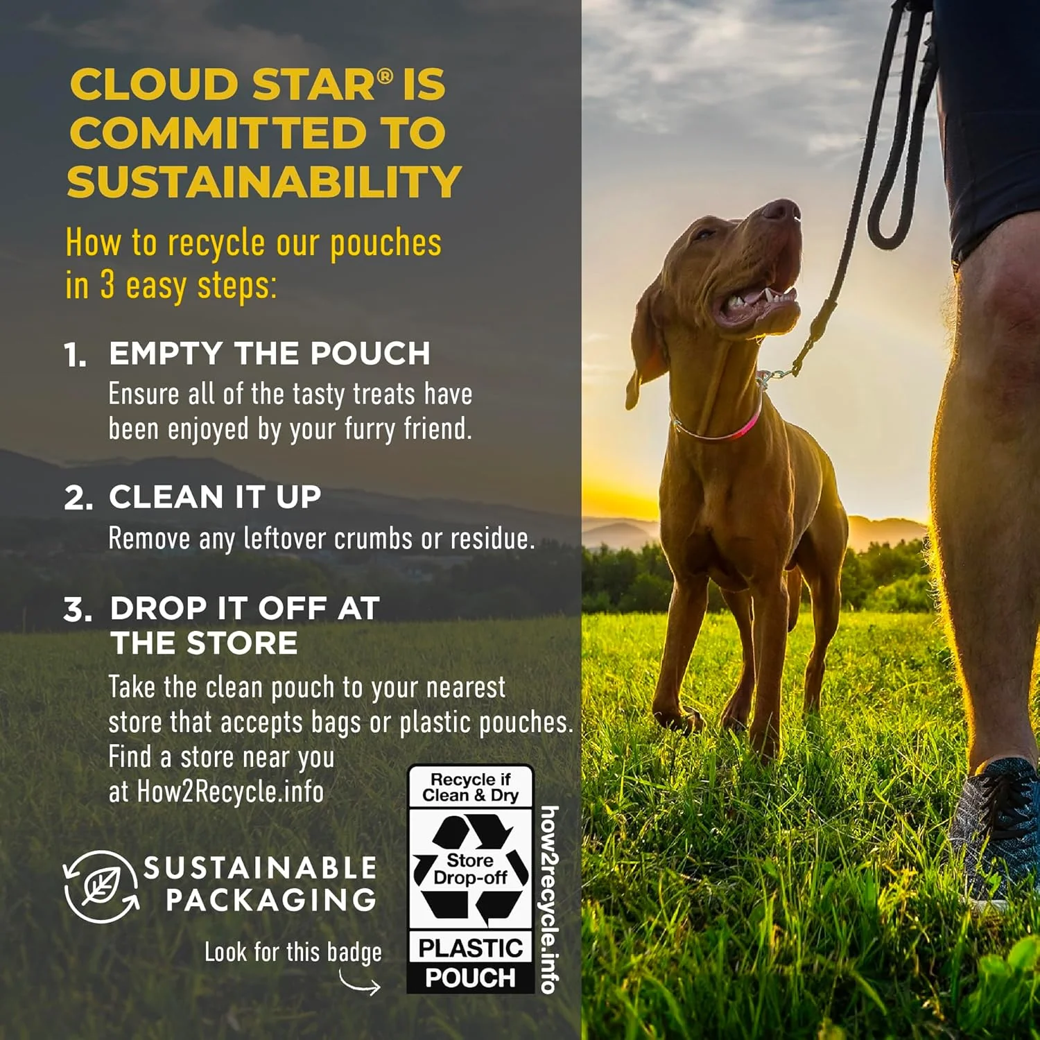 Cloud Star Wag More Bark Less Sliders Dog Treats, BBQ Chicken - Image 5