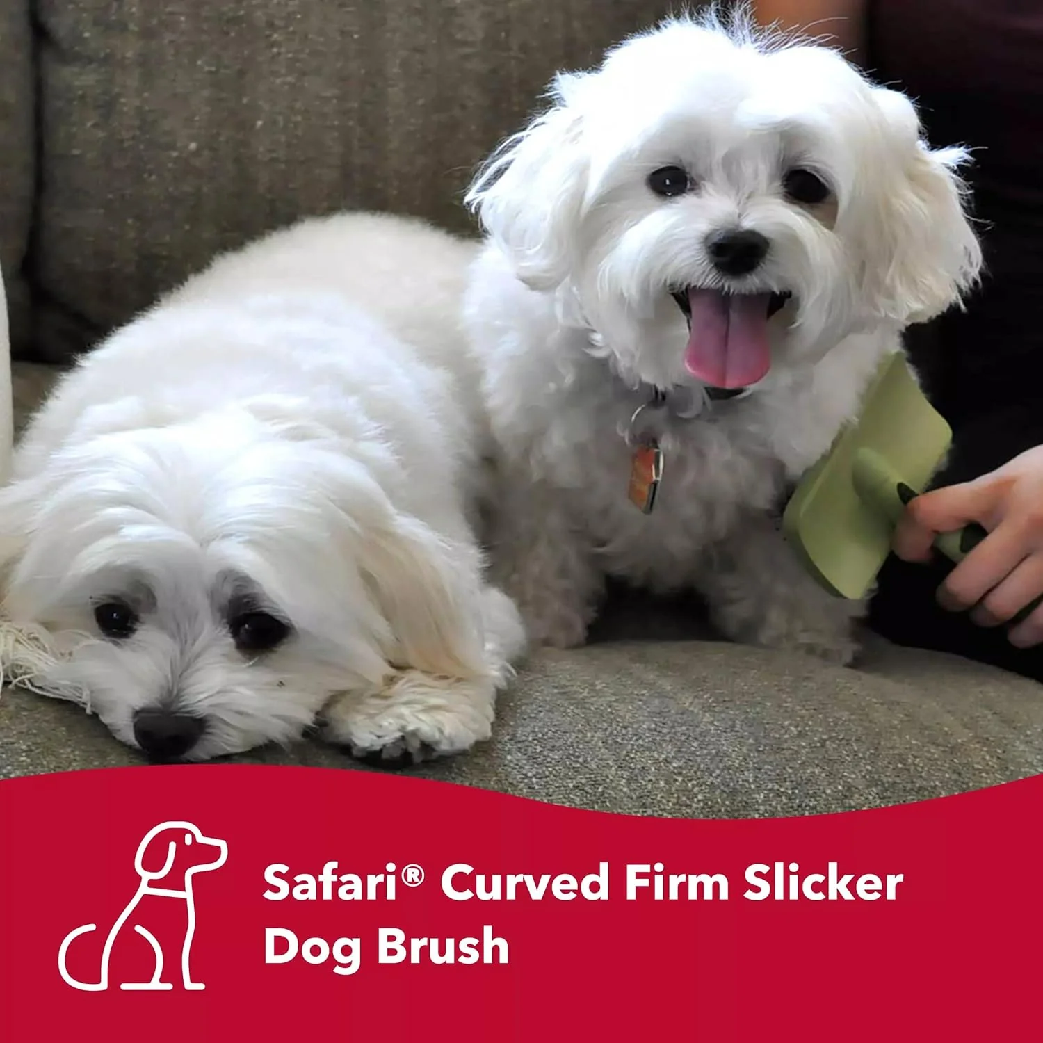 Coastal Dog Slicker Brush, Green - Grooming & Shedding Brush for Dogs of All Hair Types - Curved Design for Easy Detangling - Non-Slip Handle - Image 3