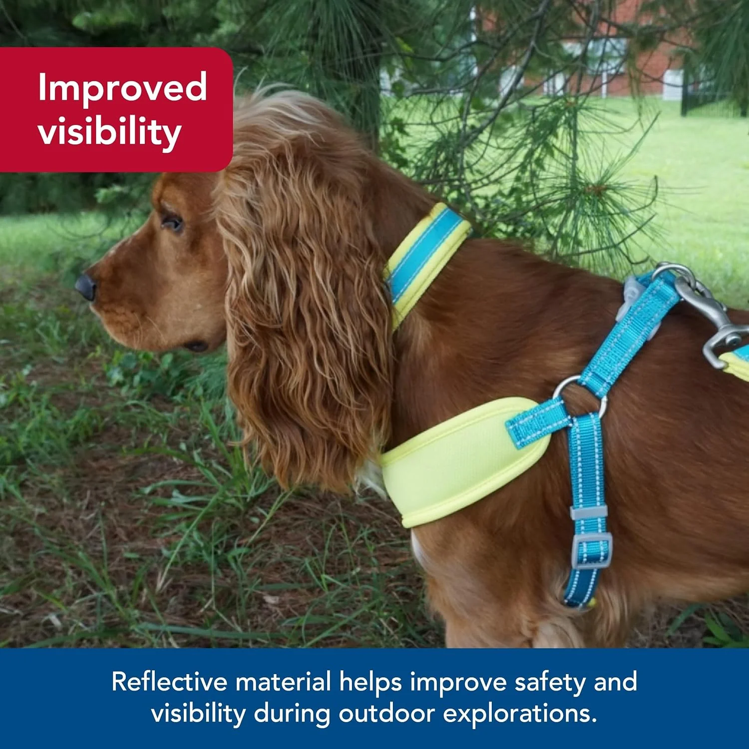 Coastal Pet - Pro - Reflective Adjustable Dog Collar, Bright Green with Grey - Image 3