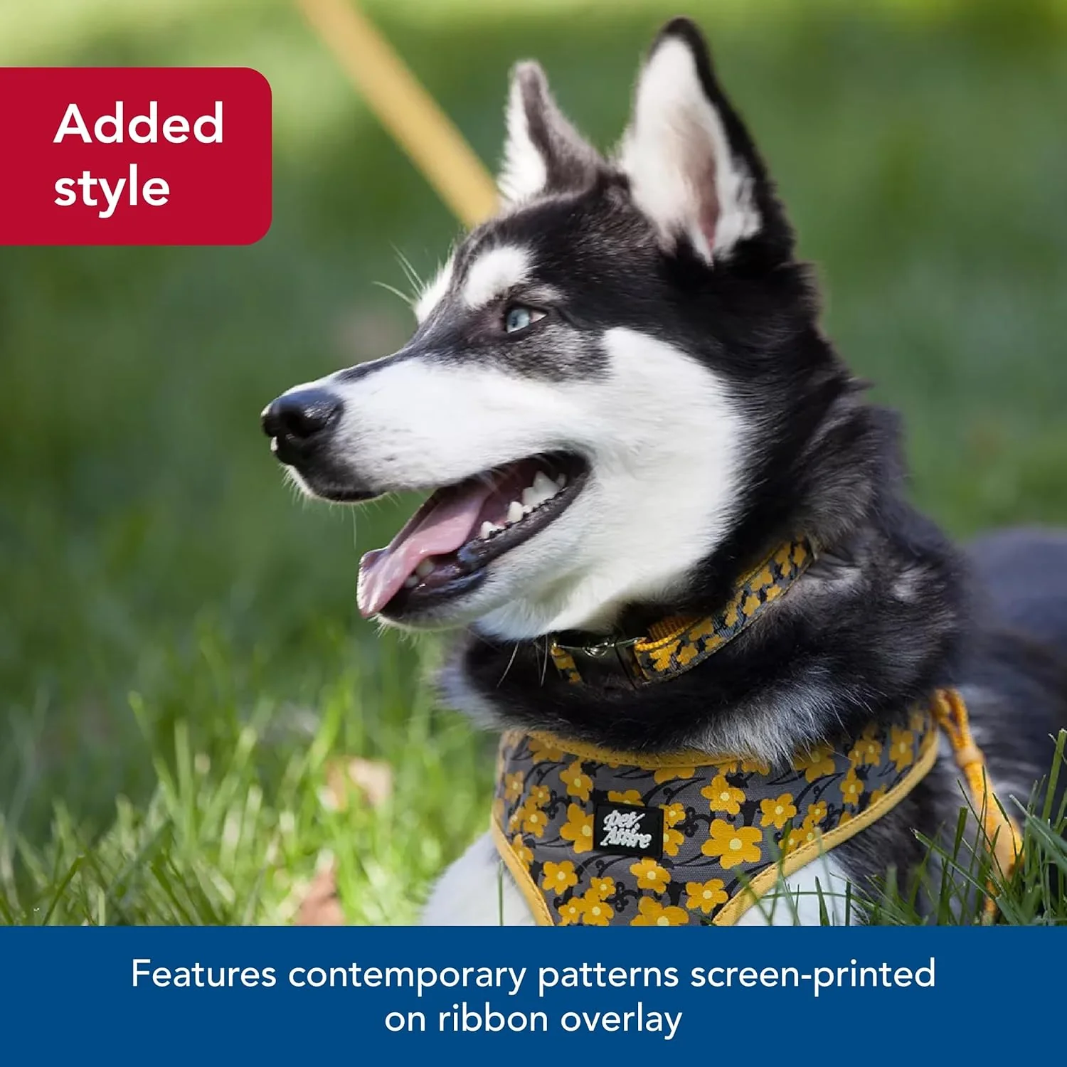 Coastal Pet - Ribbon - Adjustable Dog Collar with Metal Buckle, Brown Paws and Bones - Image 4