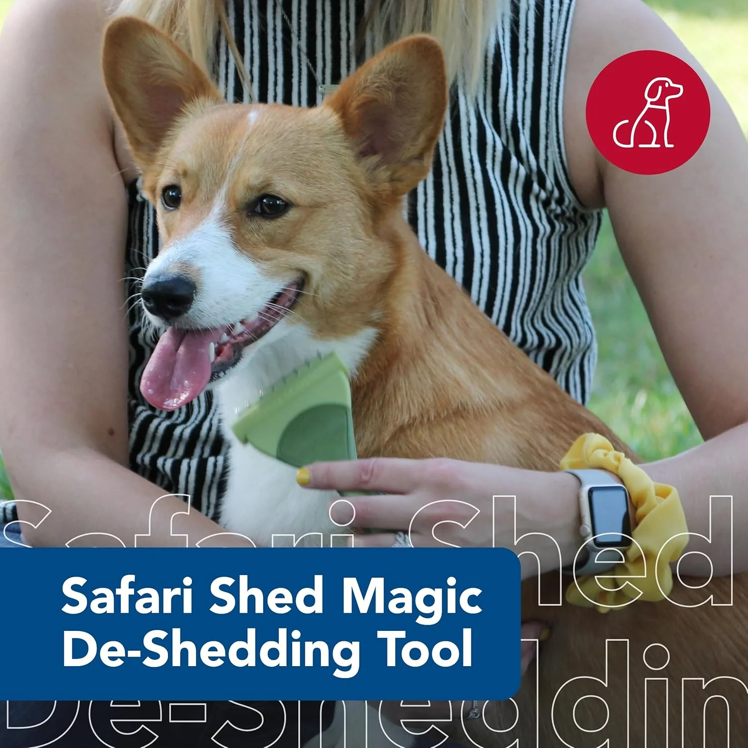 Coastal Pet Safari Shed Magic Deshedding Tool for Dogs with Medium to Long Hair - Deshedding & Detangling Dog Brush - Image 2