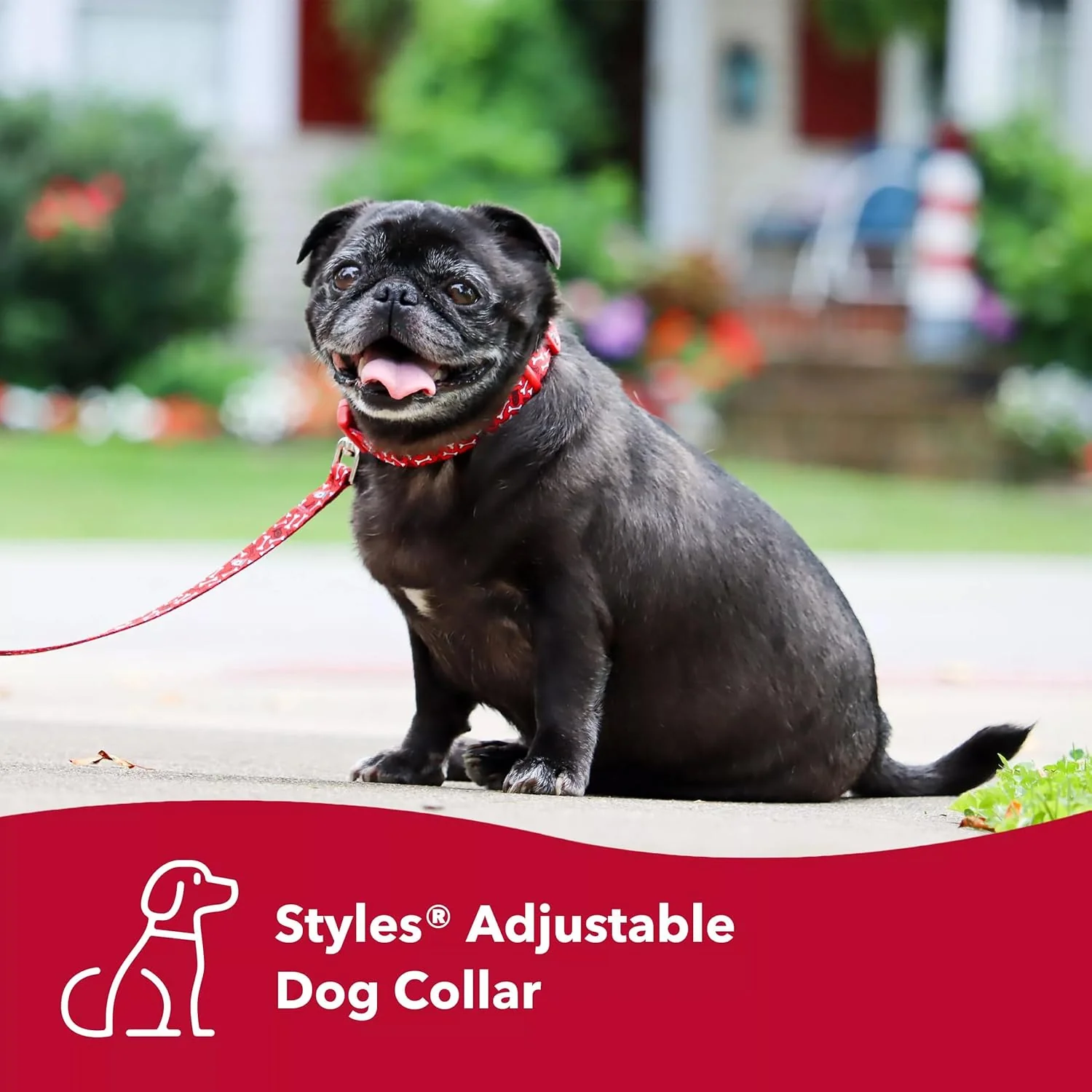 Coastal Pet Styles Adjustable Dog Collar - Stylish Patterned Fabrics - Snap-Lock Buckle - Adjustable Dog Collar - for Small, Medium or Large Dogs - Special Brown Paw - Image 3