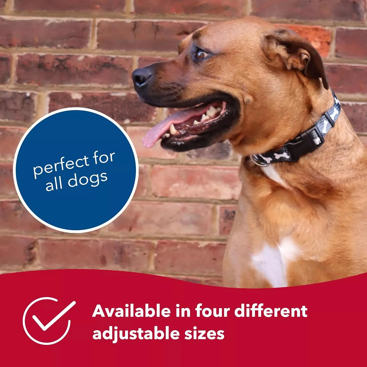Coastal Pet Styles Adjustable Dog Collar - Stylish Patterned Fabrics - Snap-Lock Buckle - Adjustable Dog Collar - for Small, Medium or Large Dogs - Special Brown Paw - Image 6