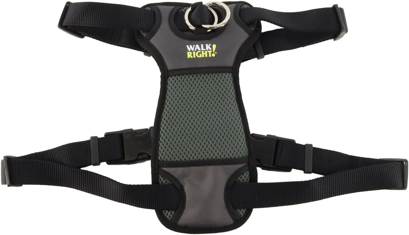 Coastal Pet Walk Right Front-Connect No-Pull Padded Dog Harness - Adjustable & Comfortable Dog Harness - Small & Large Breed Fit - Quality Pet Supplies - Black - Image 10
