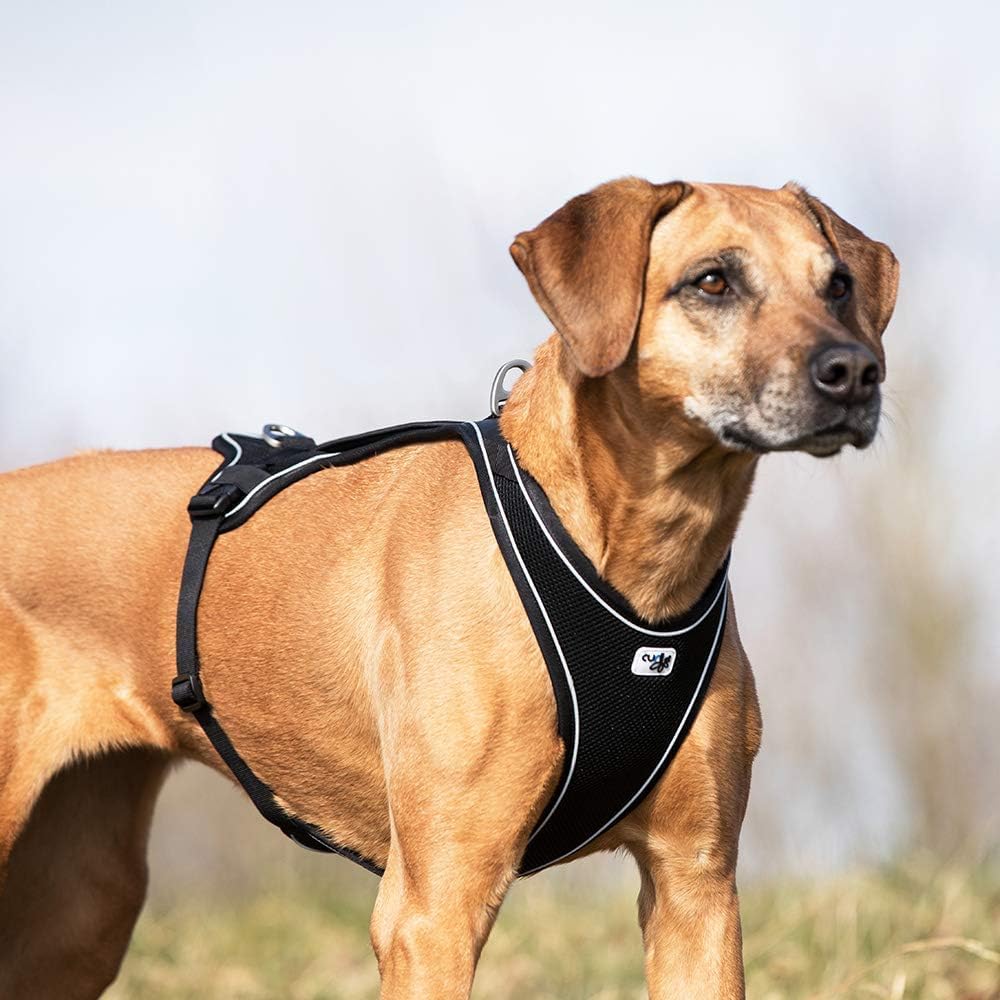 Curli Belka Comfort Harness Red - Image 5
