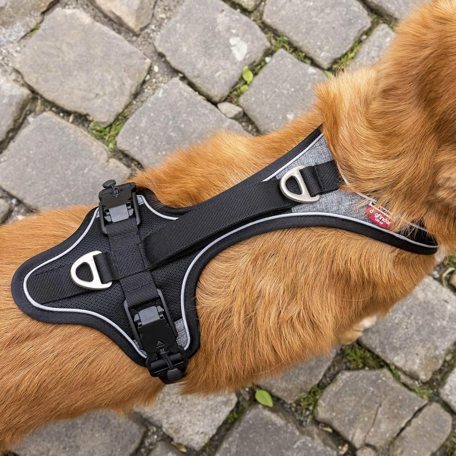Curli Magnetic Belka Comfort Harness Black - Image 5