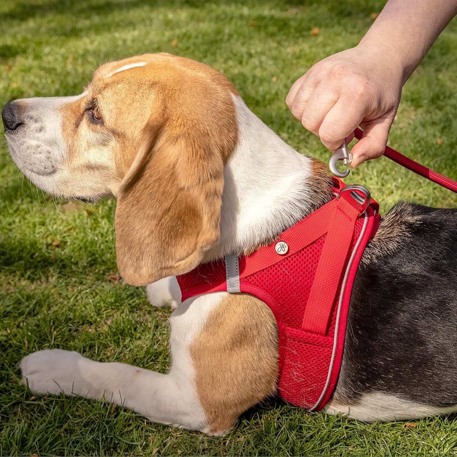 Curli Magnetic Vest Harness Air-Mesh Black - Image 5