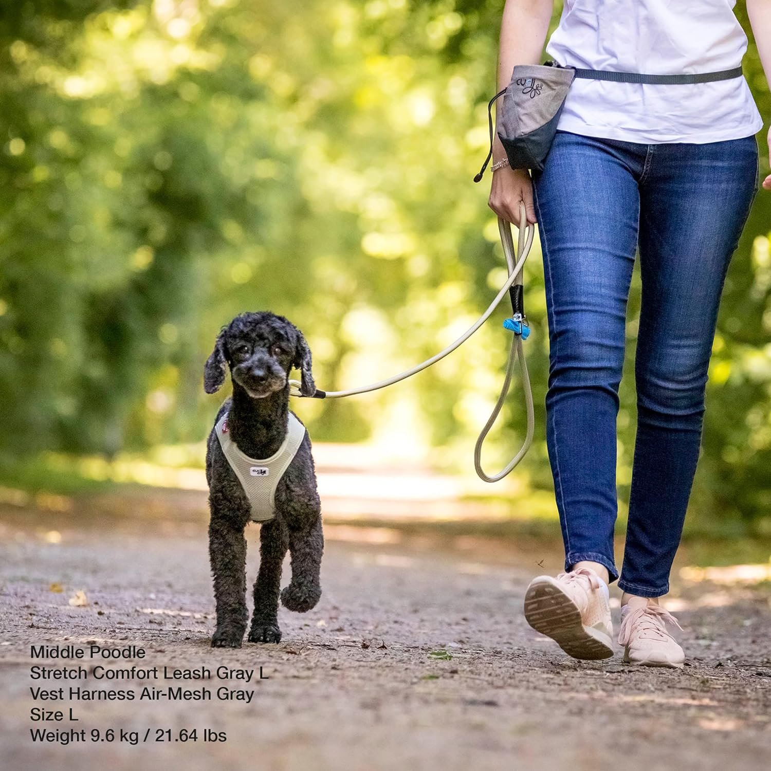 Curli Stretch Comfort Leash, Large - Image 2