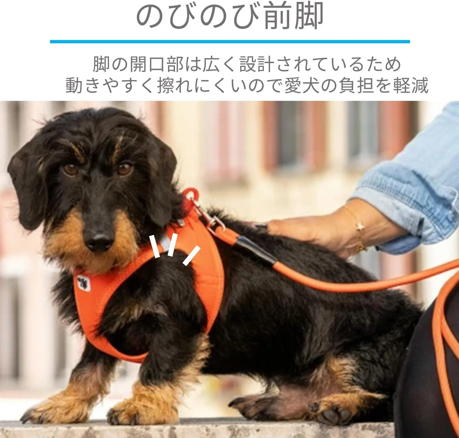 curli Vest Harness Clasp Air-Mesh Dog Harness (safe dog accessories, no pressure points, improved fit, harness with curli clasp buckle) - Image 8