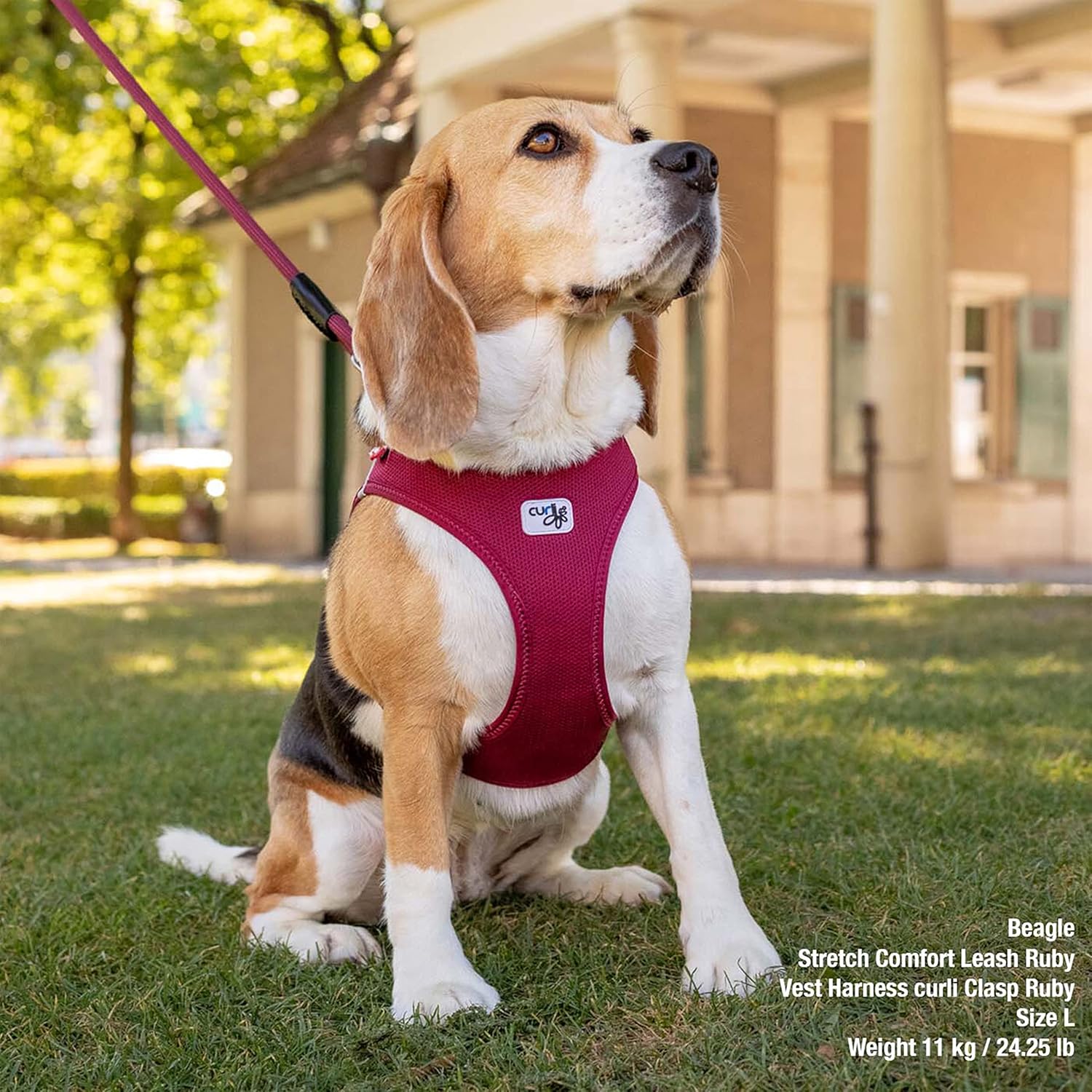 curli Vest Harness curli Clasp Air-Mesh Lime - Image 5