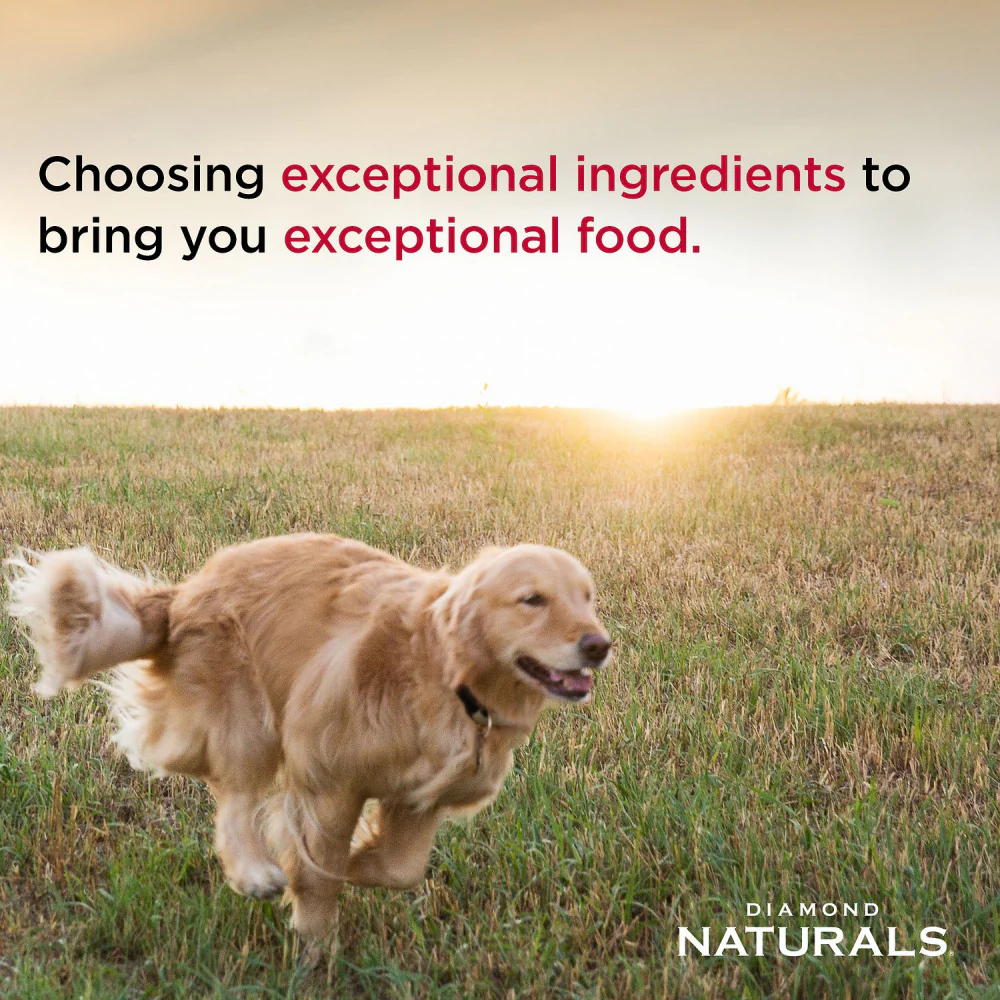 Diamond Naturals Skin & Coat Formula All Life Stages Dry Dog Food - Image 3