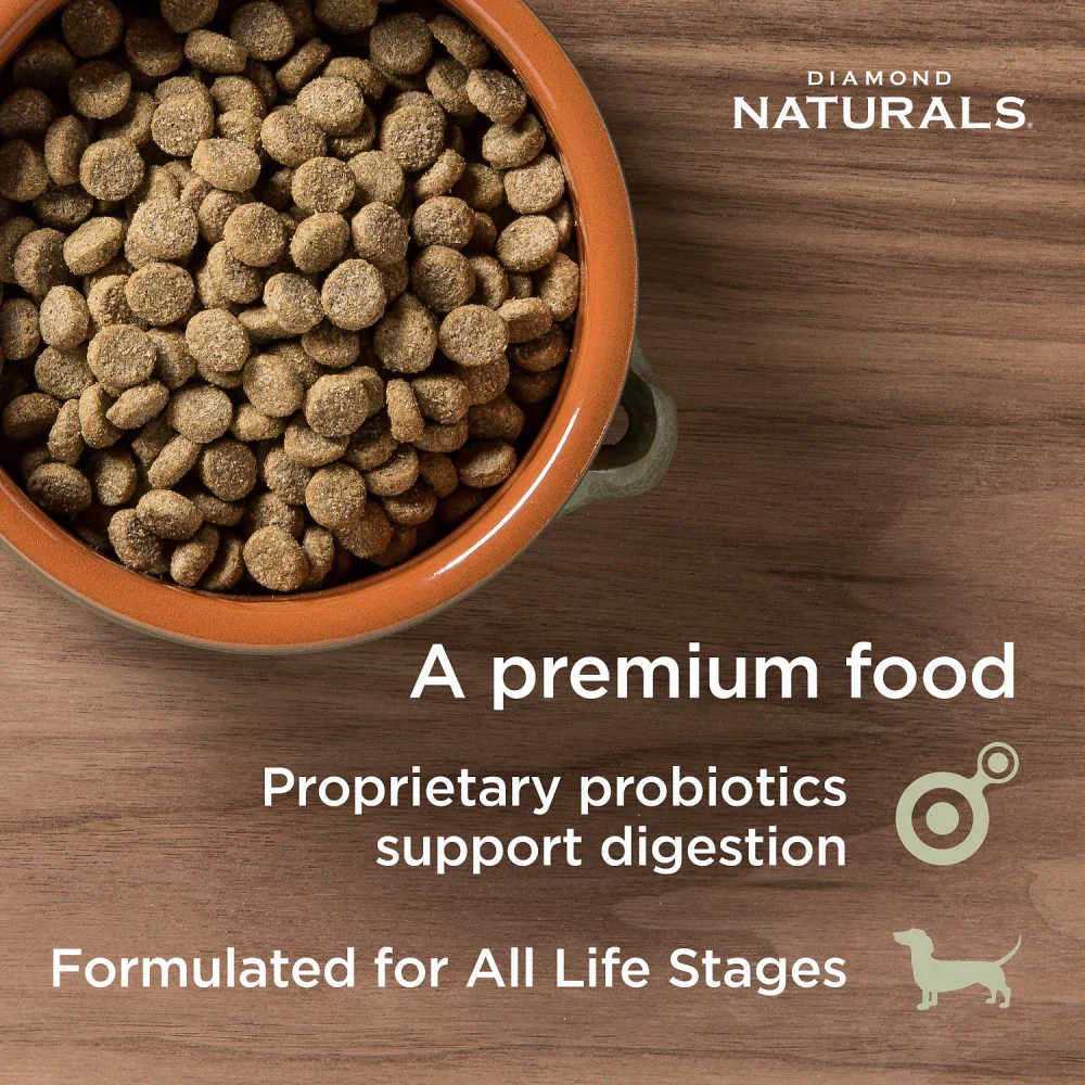 Diamond Naturals Skin & Coat Formula All Life Stages Dry Dog Food - Image 5